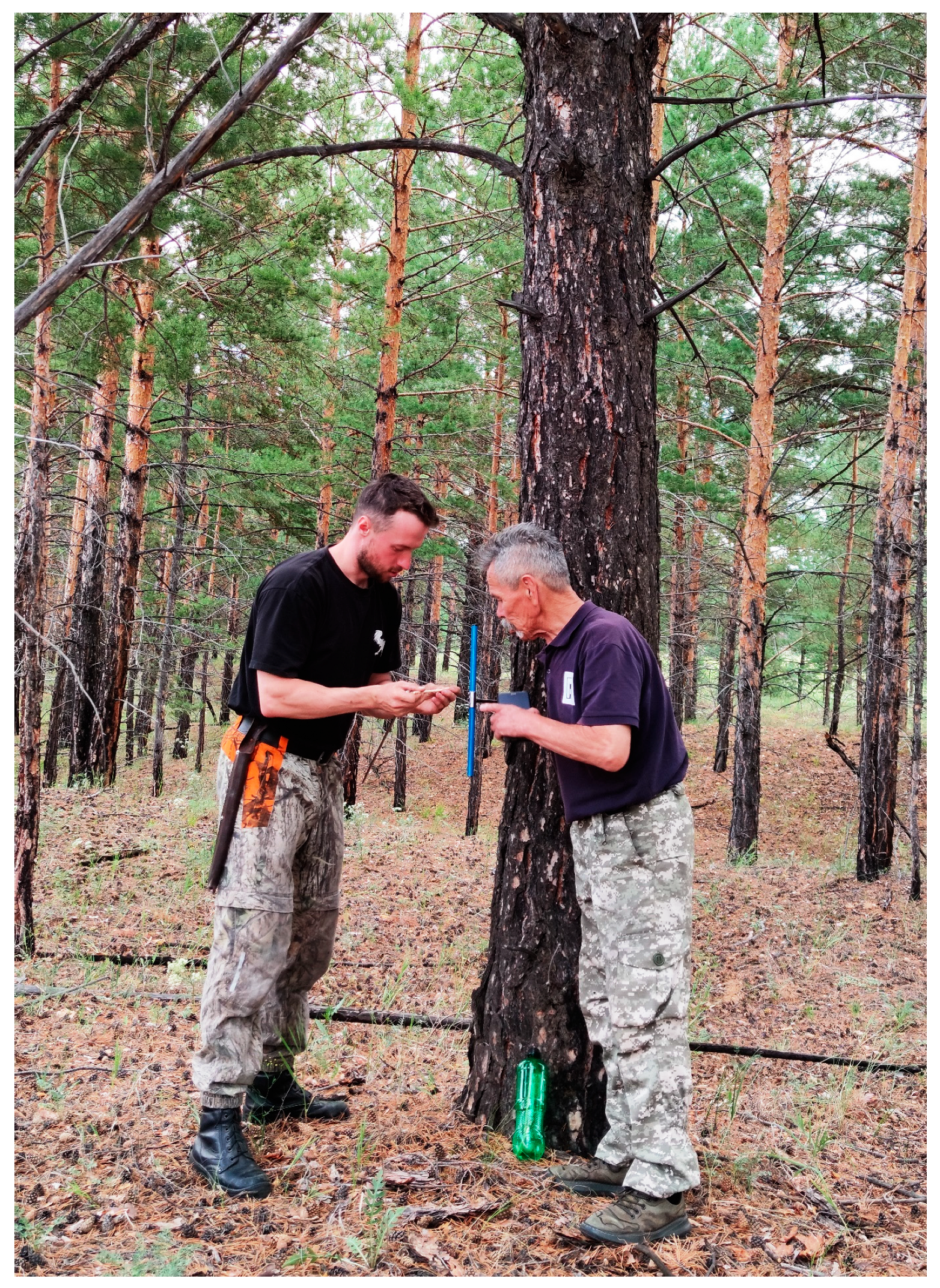 Forests 16 00819 g0a1