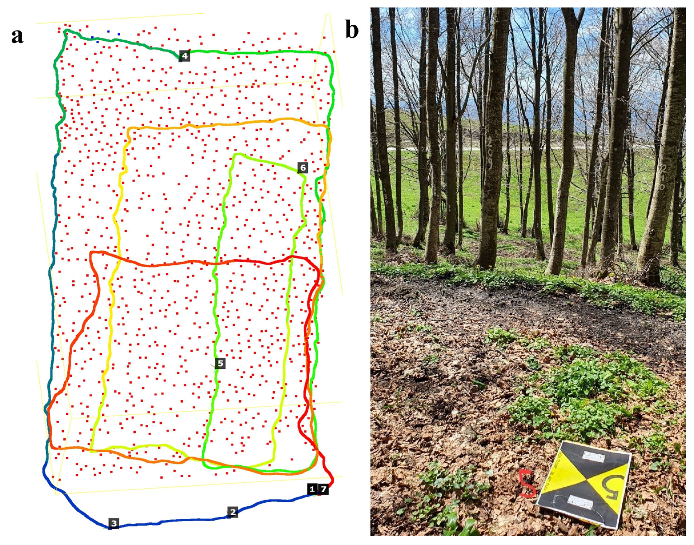 Forests 16 00820 g002