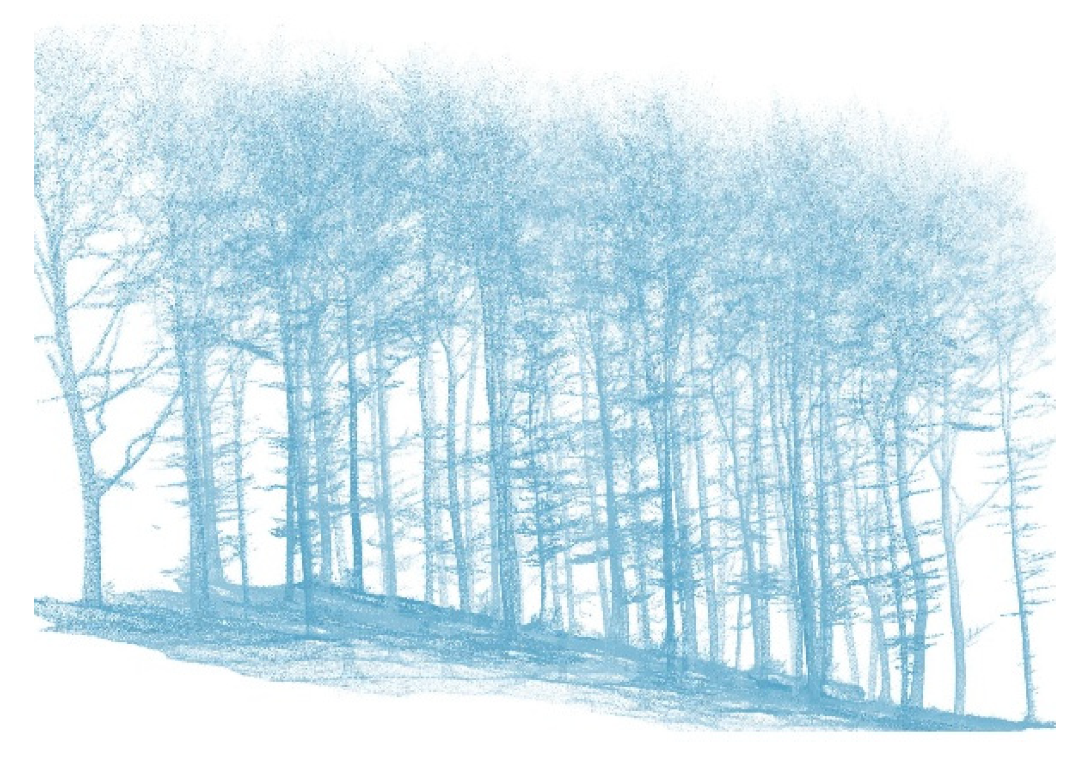 Forests 16 00820 g004