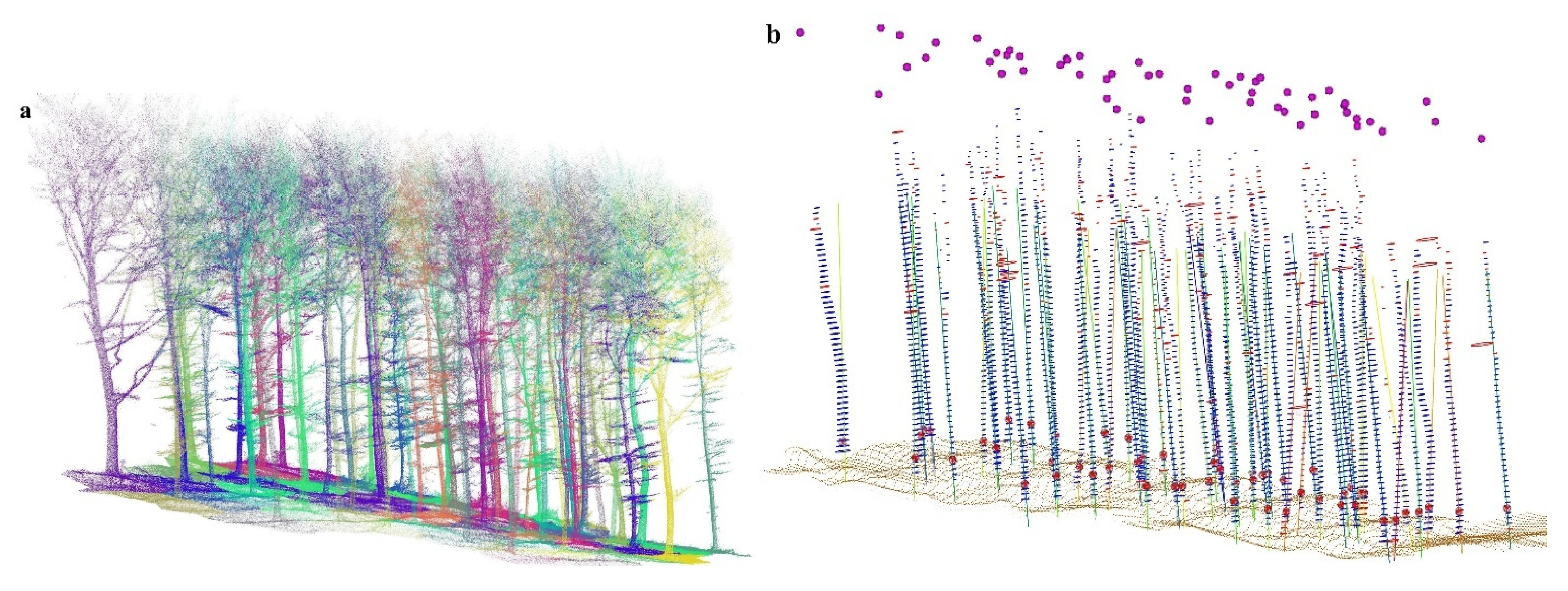 Forests 16 00820 g005