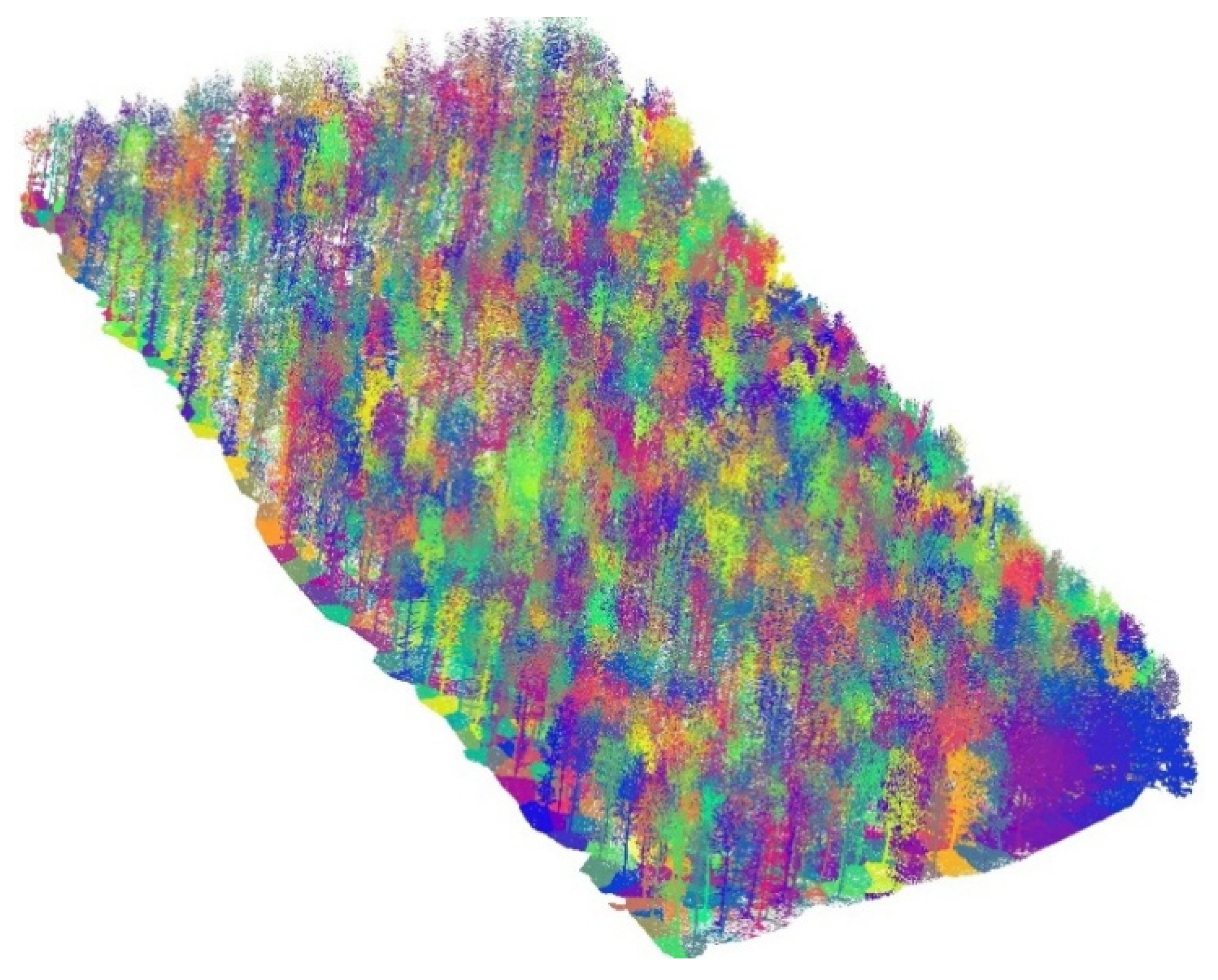 Forests 16 00820 g008