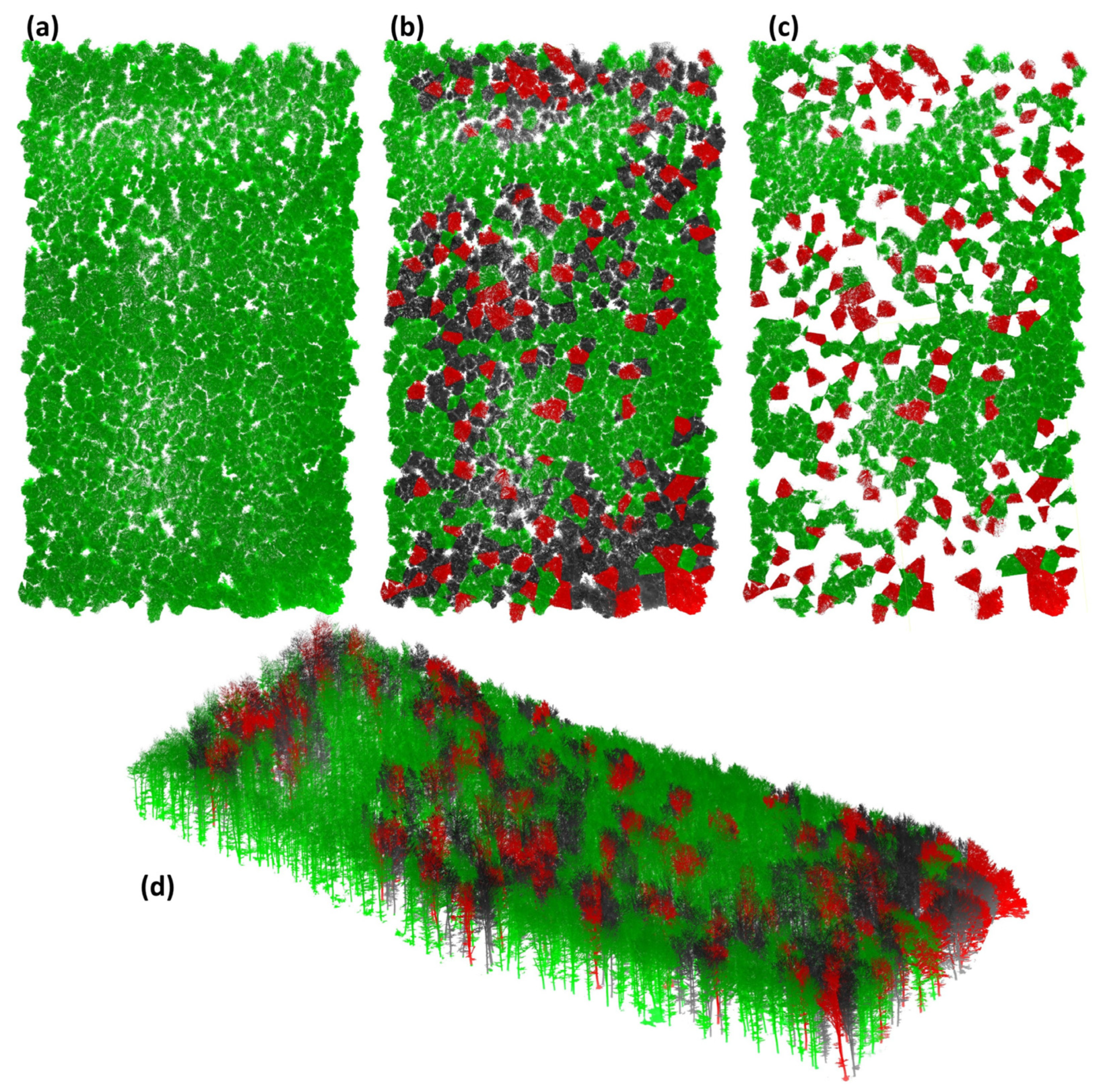 Forests 16 00820 g009