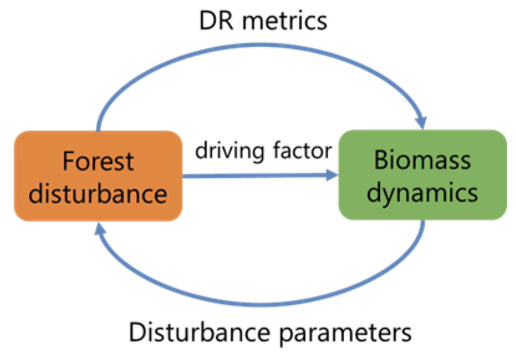Forests 16 00821 g011