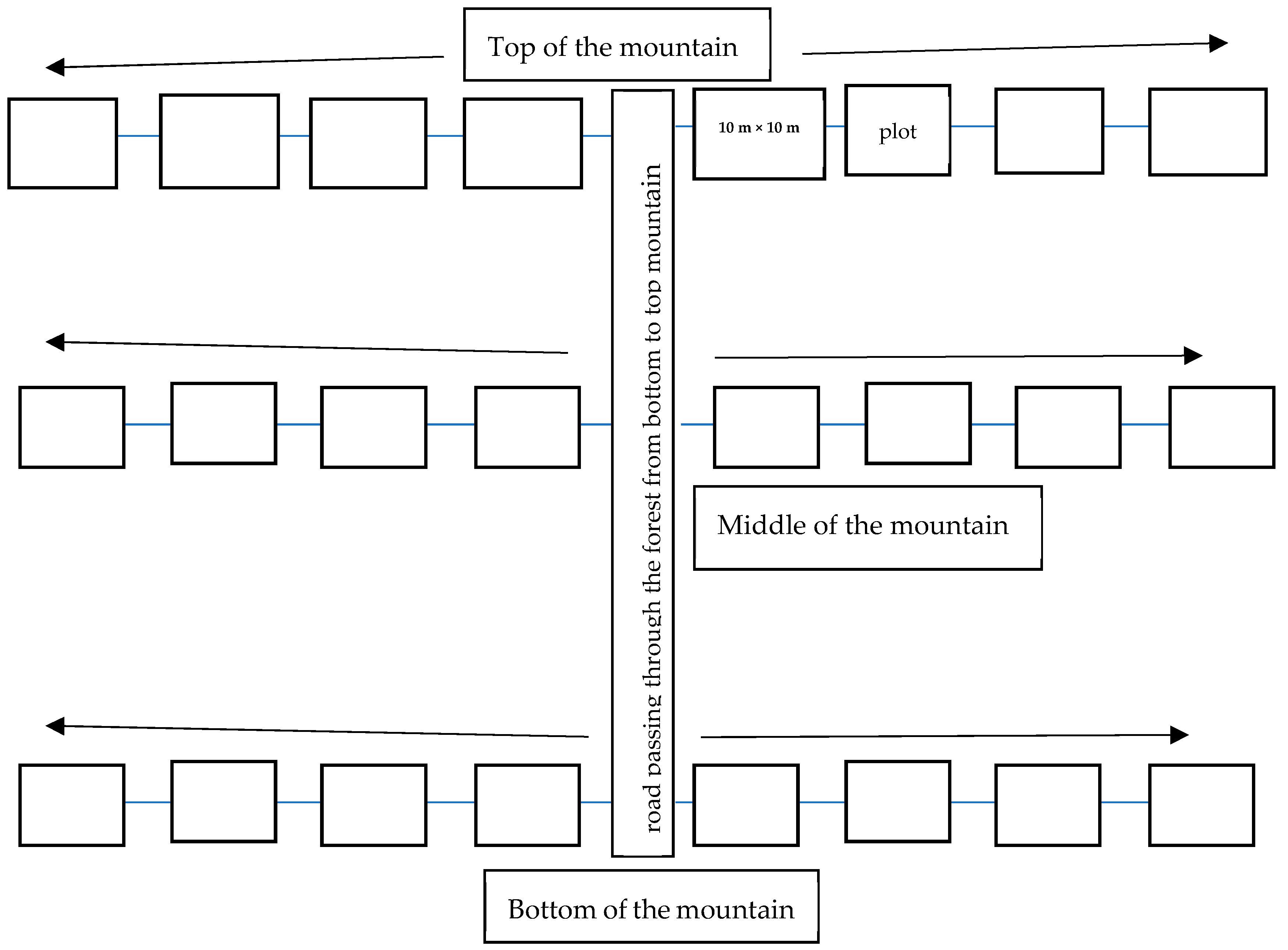 Forests 16 00823 g002