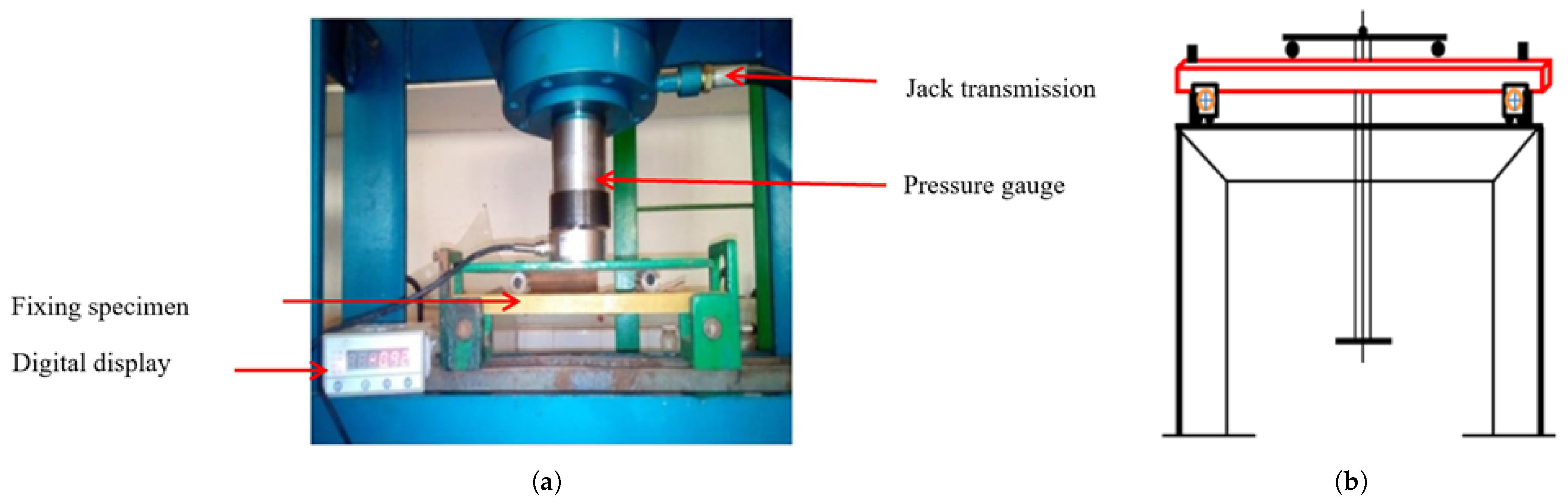 Forests 16 00824 g001