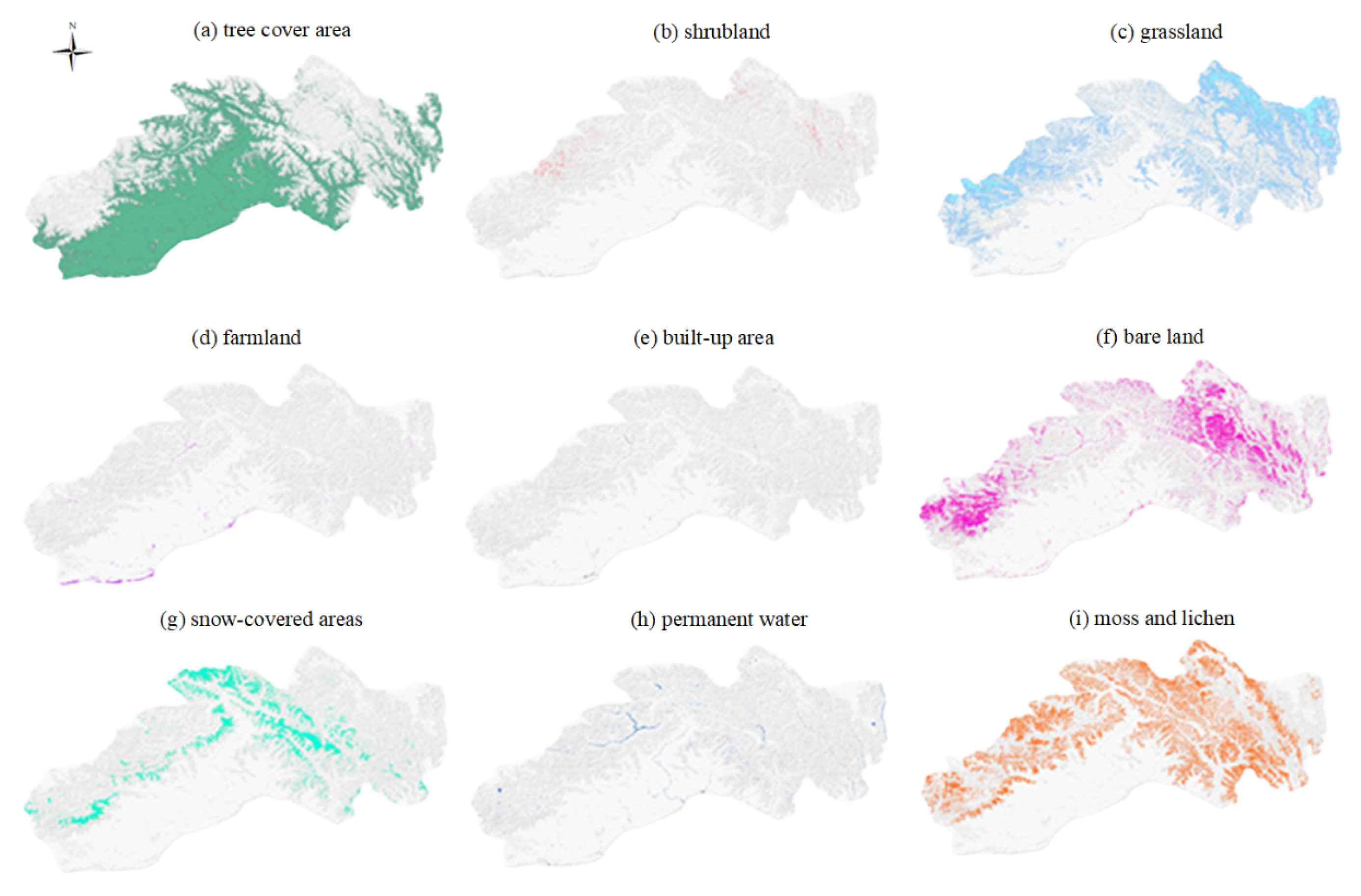 Forests 16 00825 g011