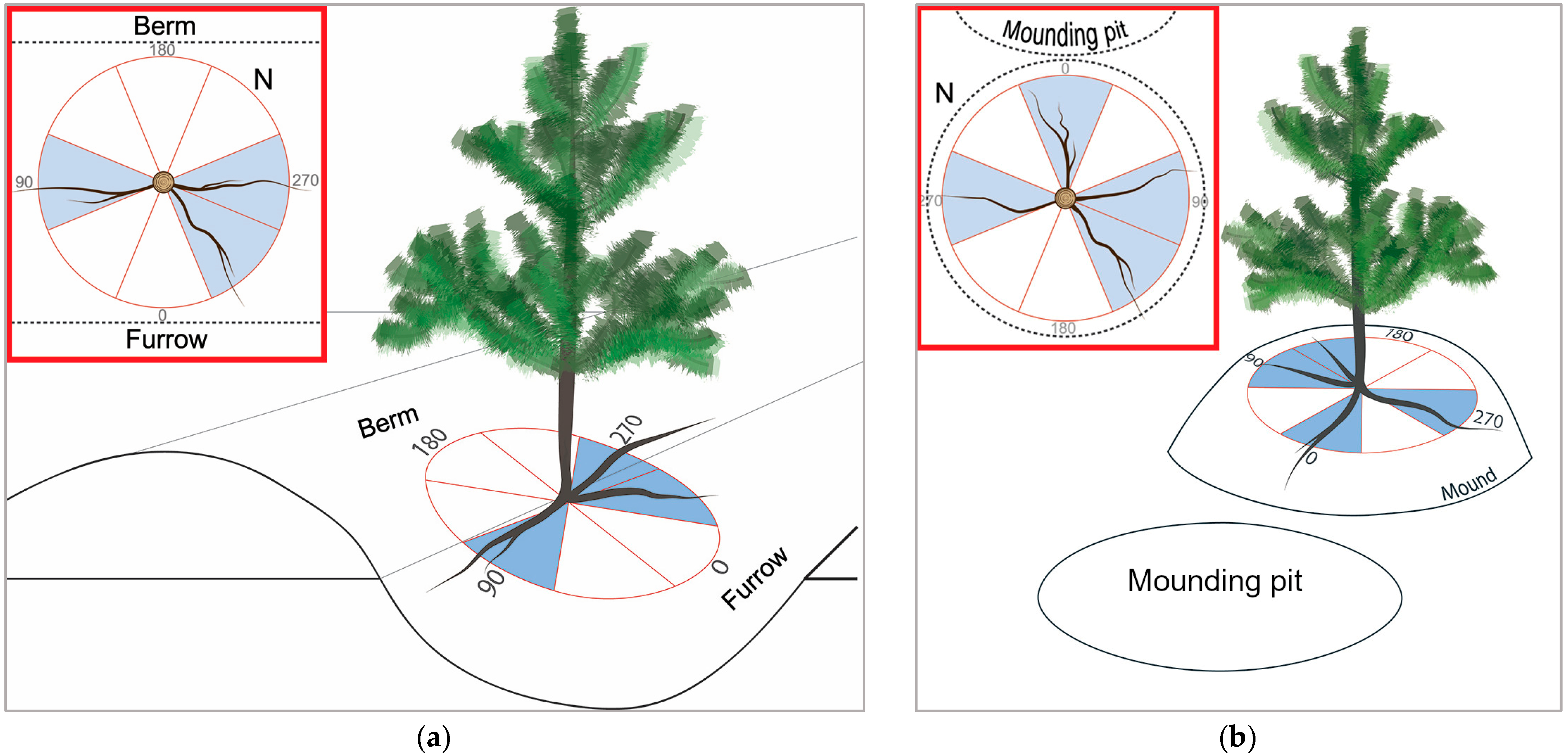 Forests 16 00830 g002 Forests 16 00830 g002