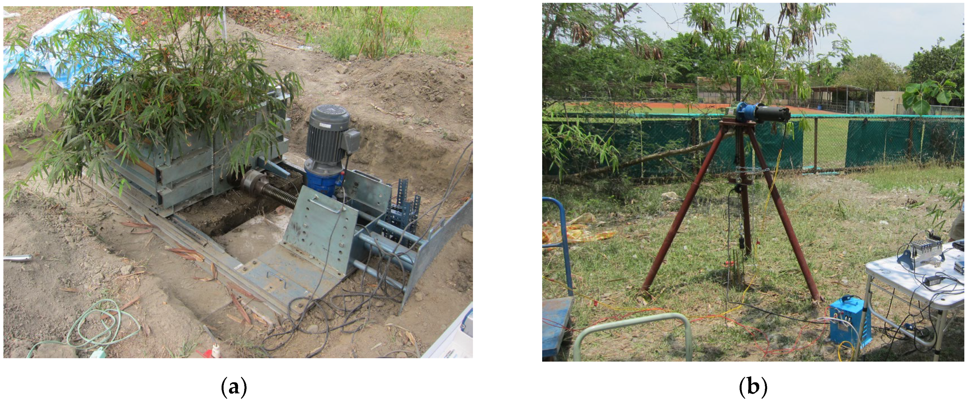 Forests 16 00832 g002