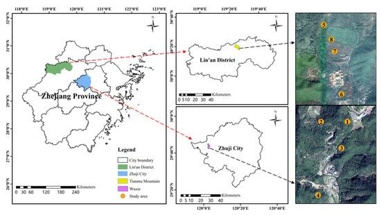 マウンテン mont-bell◇マウンテンクルーザー400 BOA/25.5cm/BLK/ゴアテック