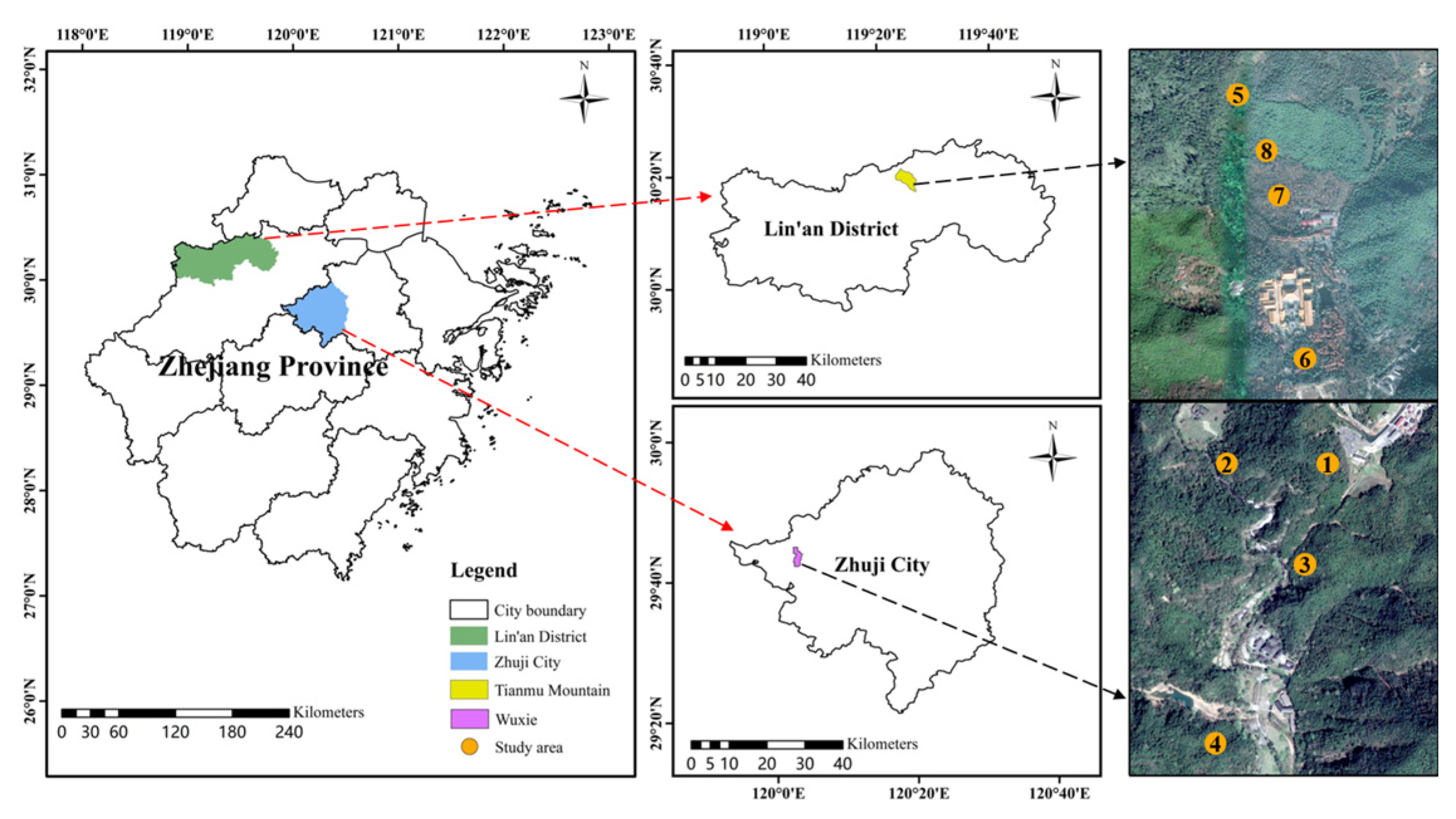 Forests 16 00833 g001