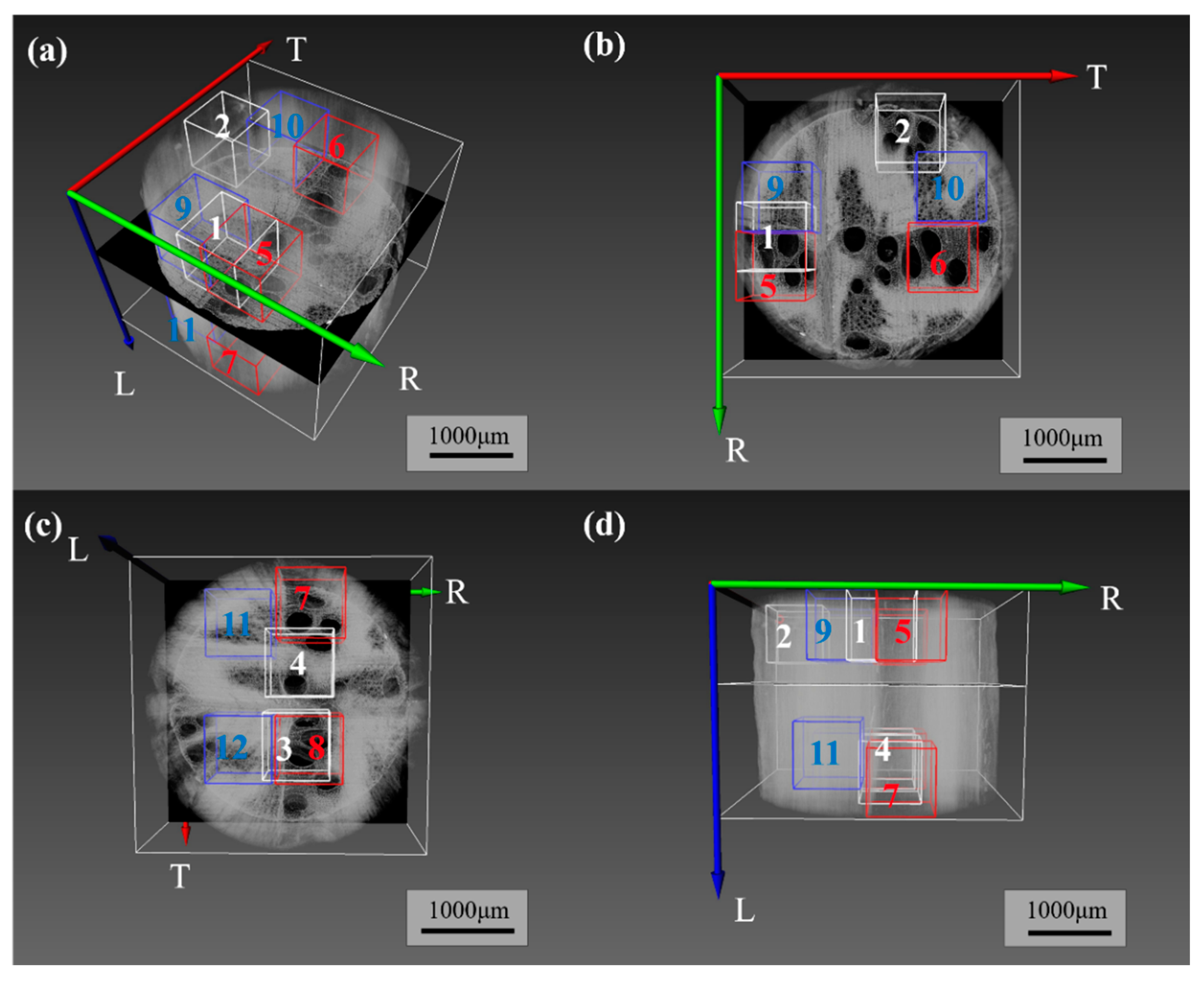 Forests 16 00834 g004