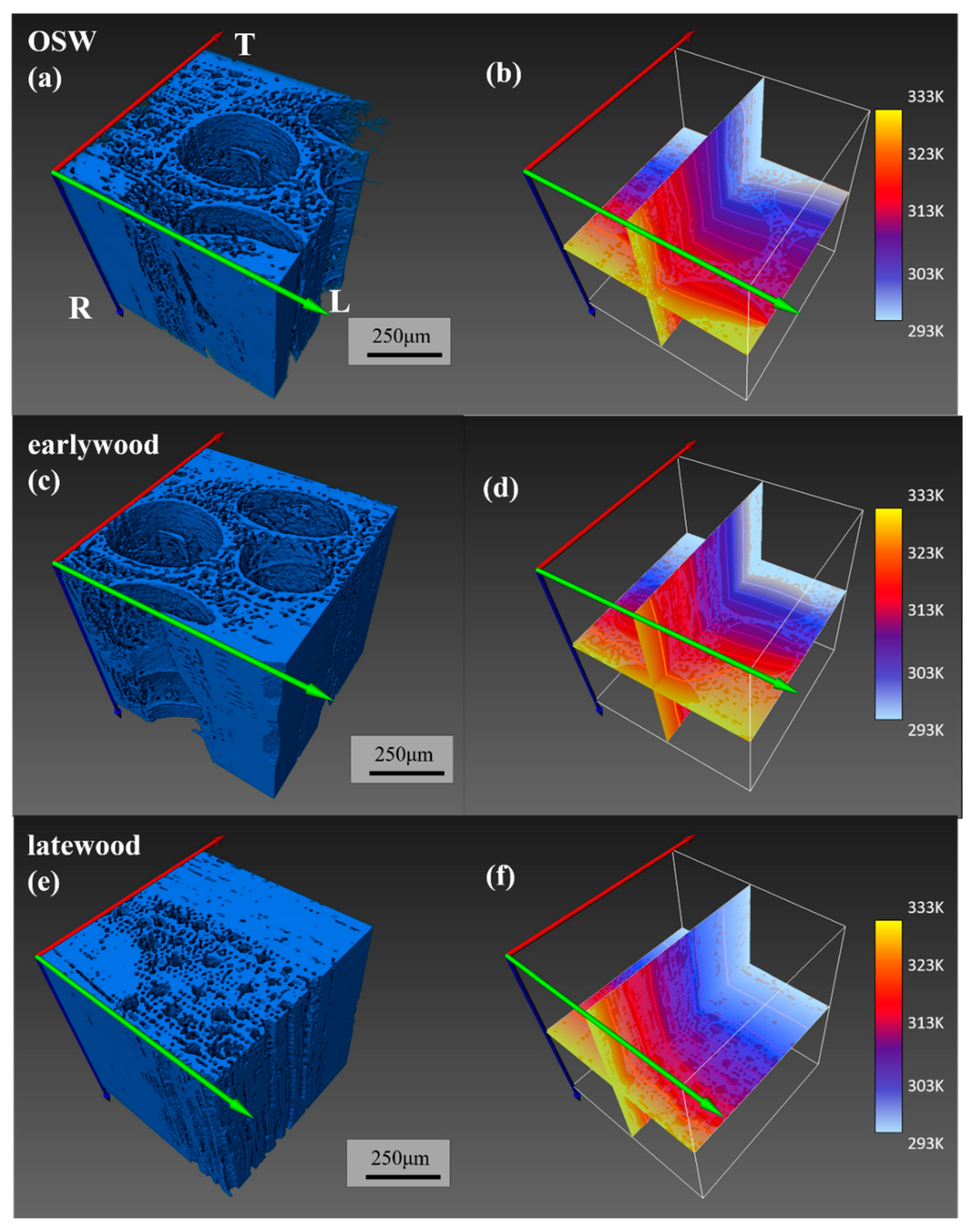 Forests 16 00834 g009