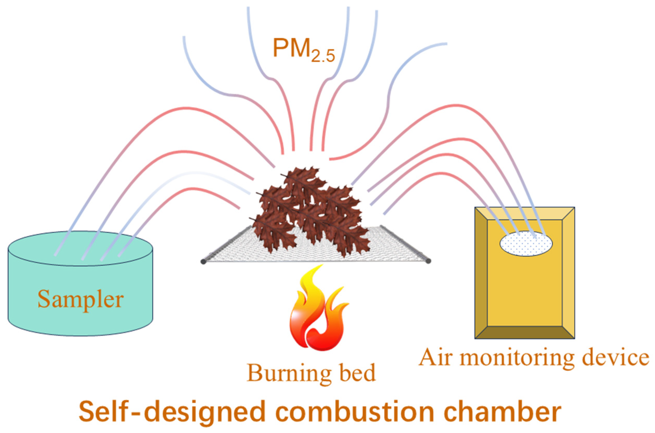 Forests 16 00836 g002