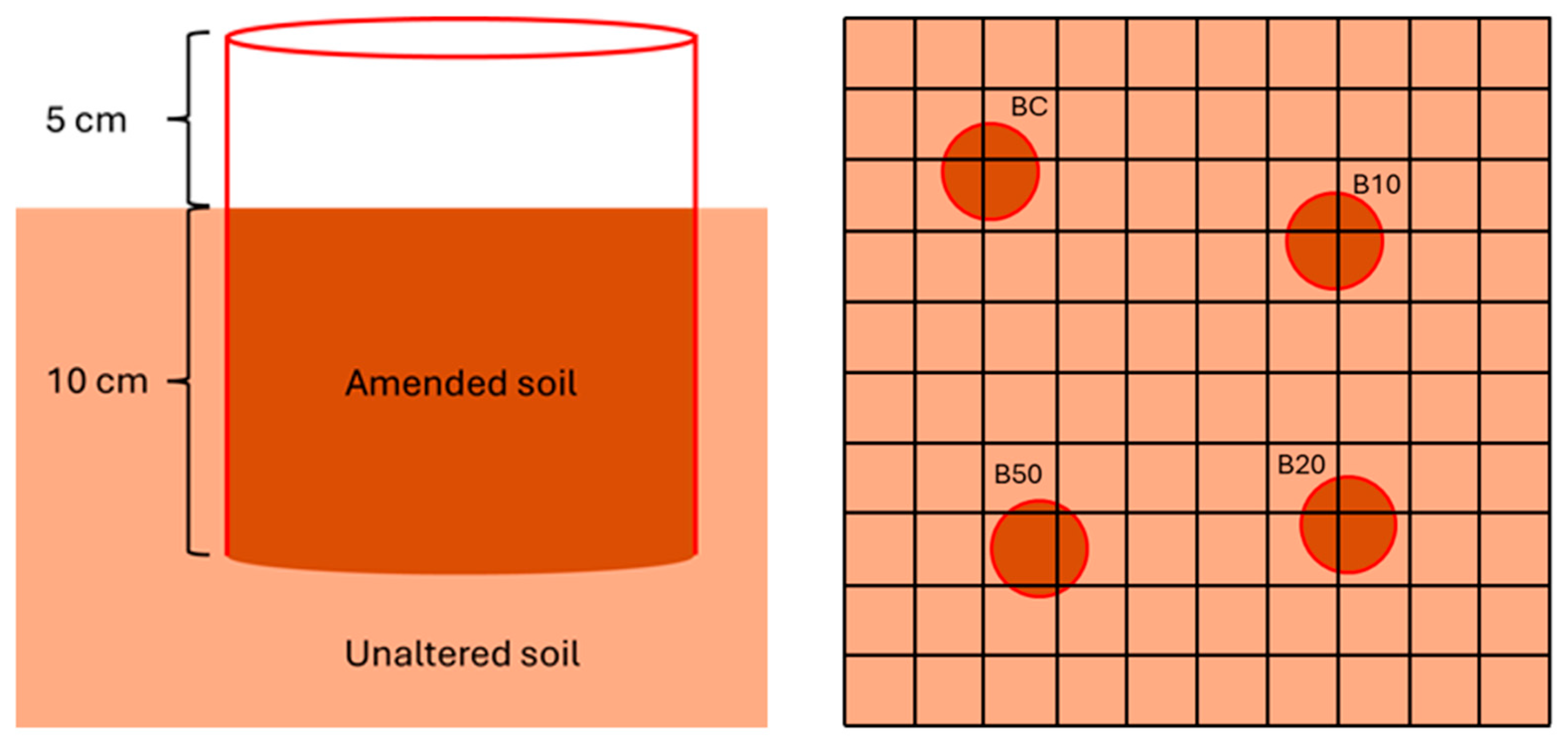 Forests 16 00837 g001