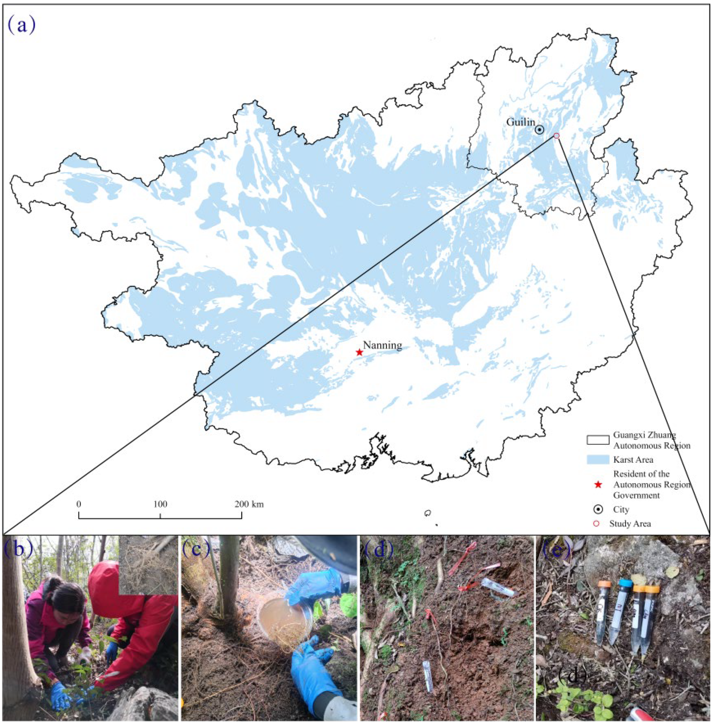 シン Changes in Plant Nitrogen Uptake Strategies Following