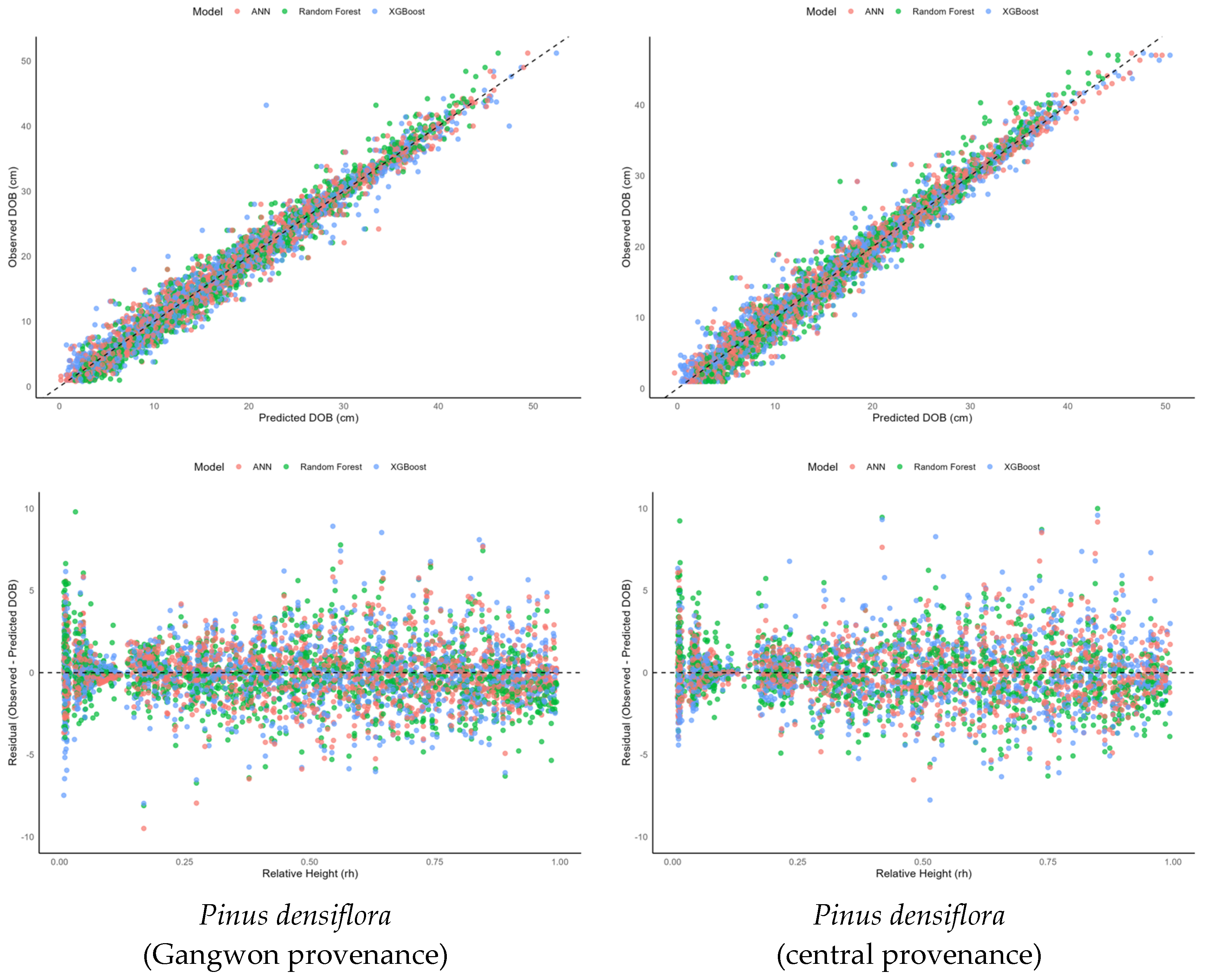 Forests 16 00840 g004