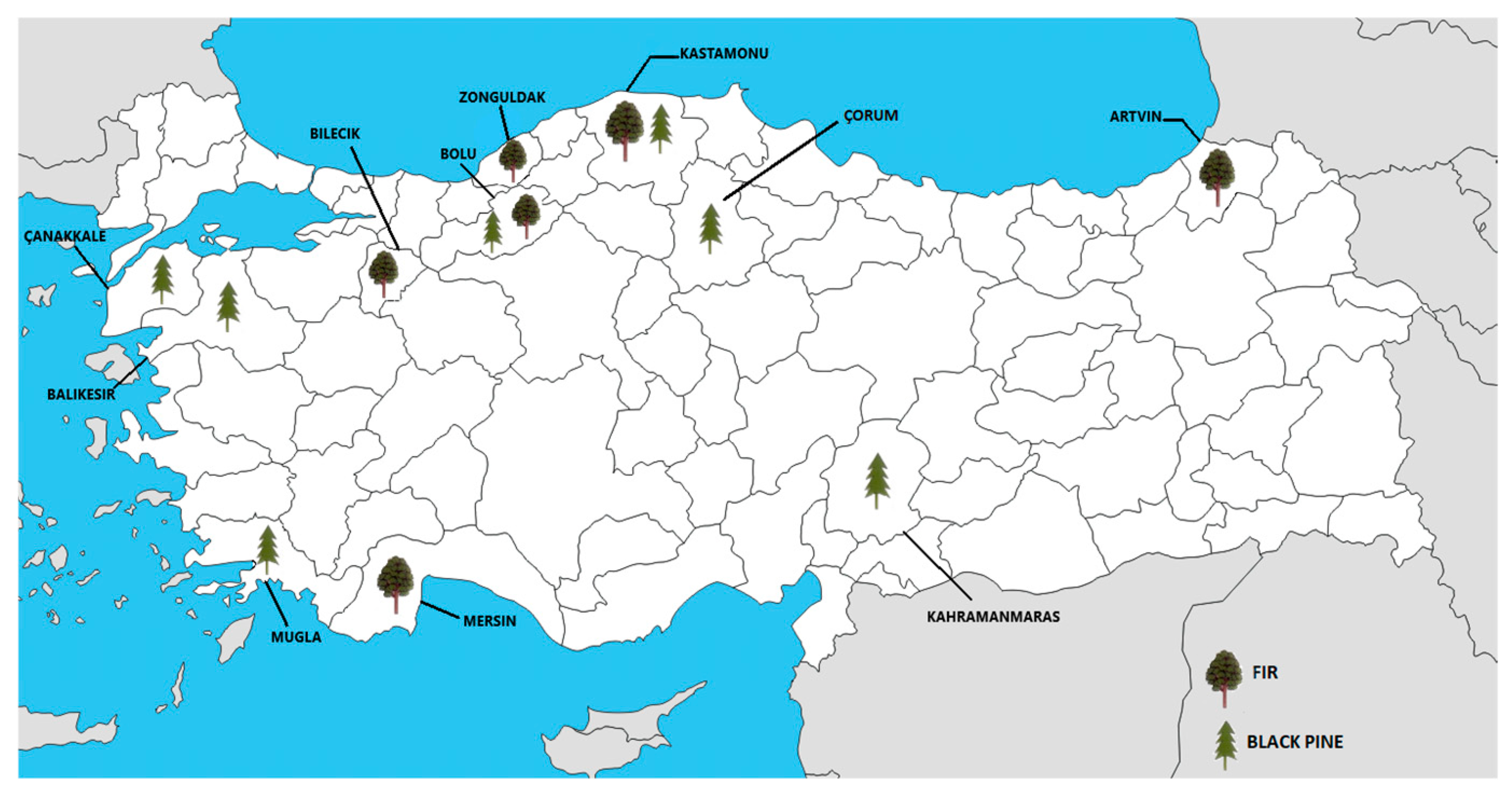 Forests 16 00844 g002