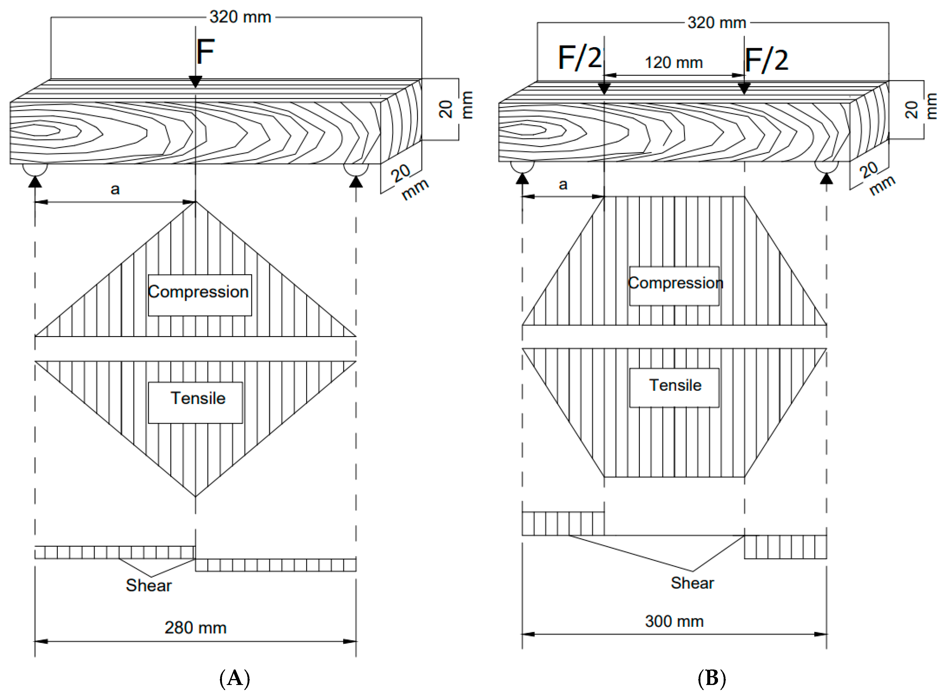 Forests 16 00844 g003