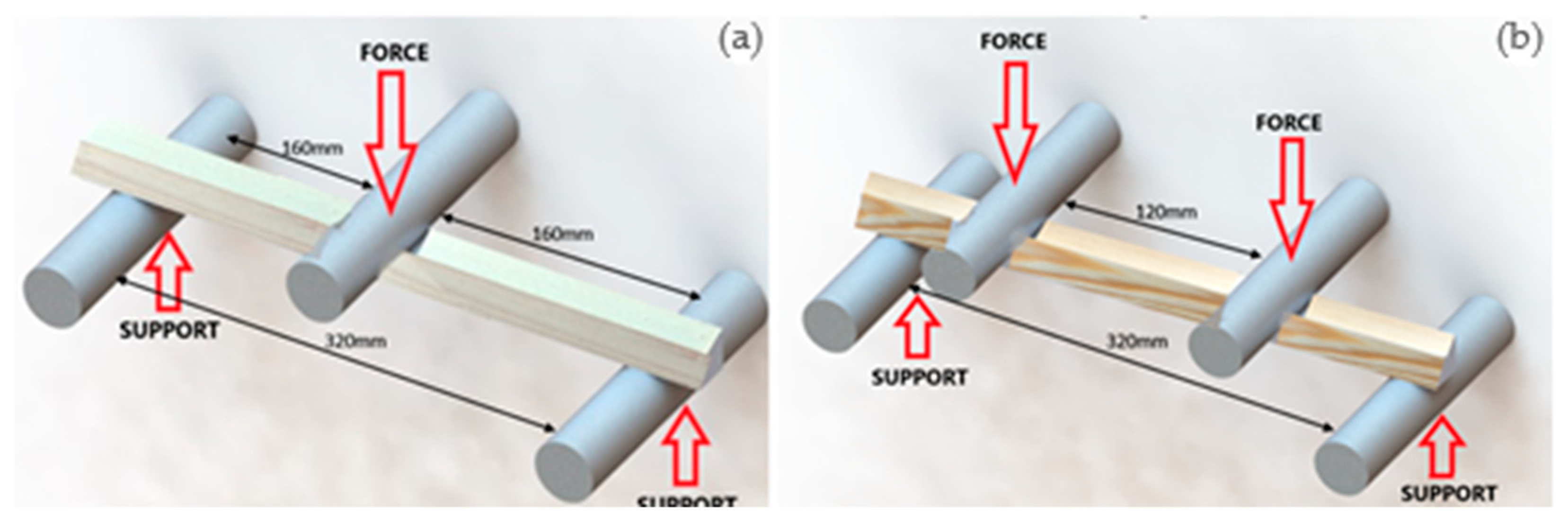Forests 16 00844 g004