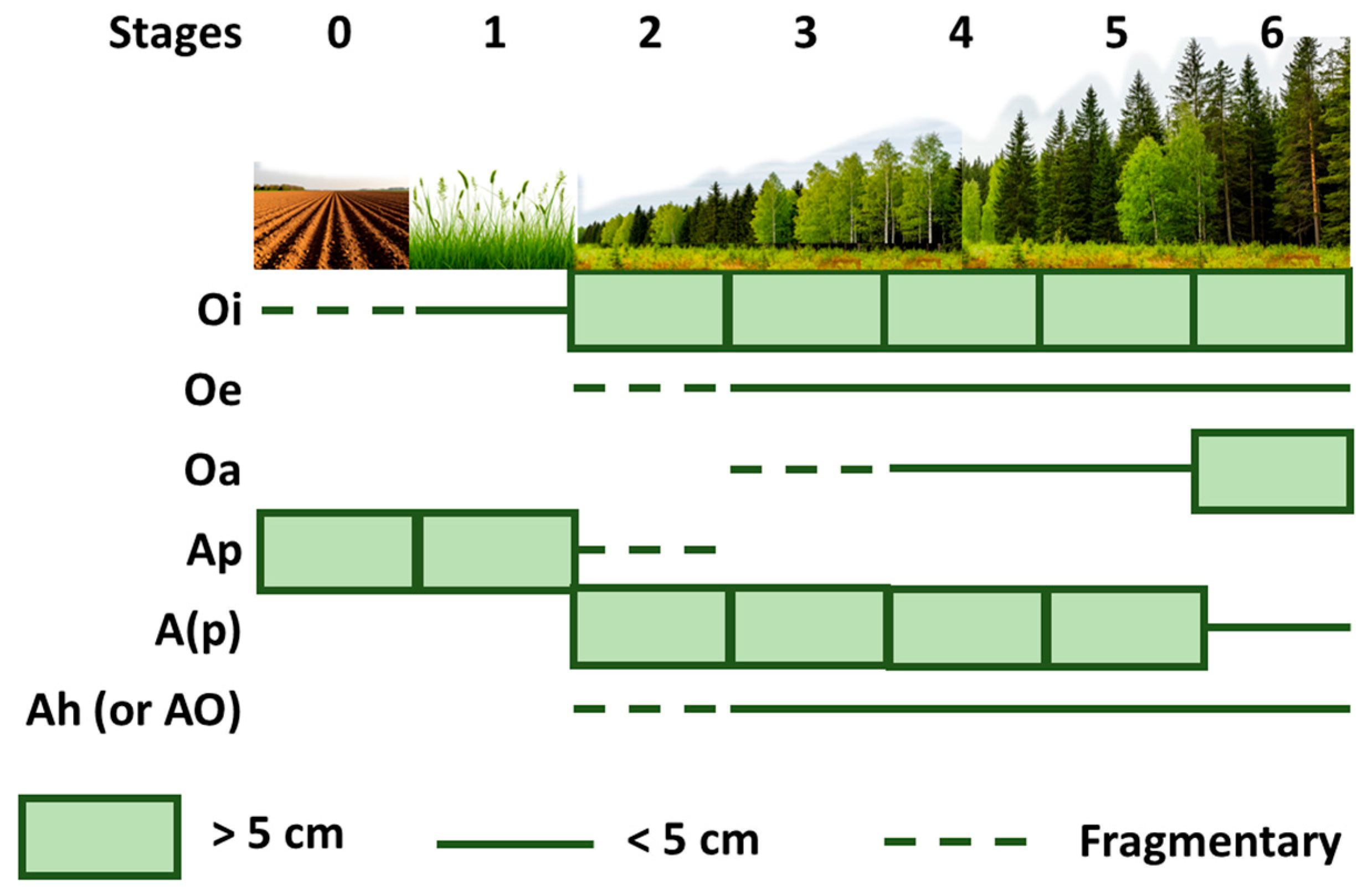 Forests 16 00845 g001