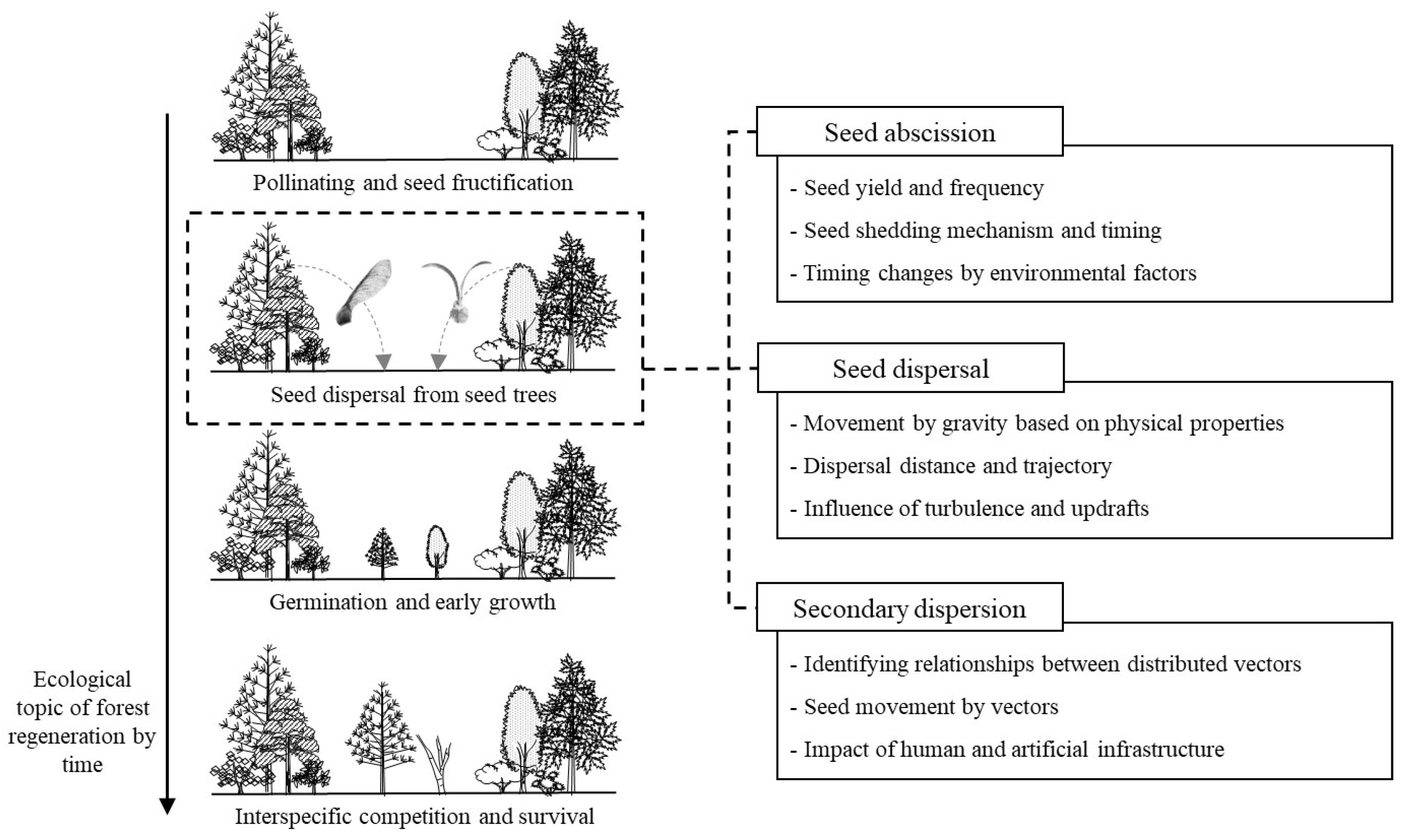 Forests 16 00851 g001 Forests 16 00851 g001