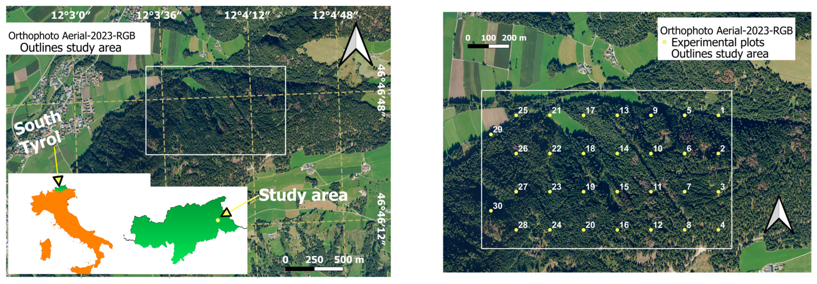 Forests 16 00854 g002