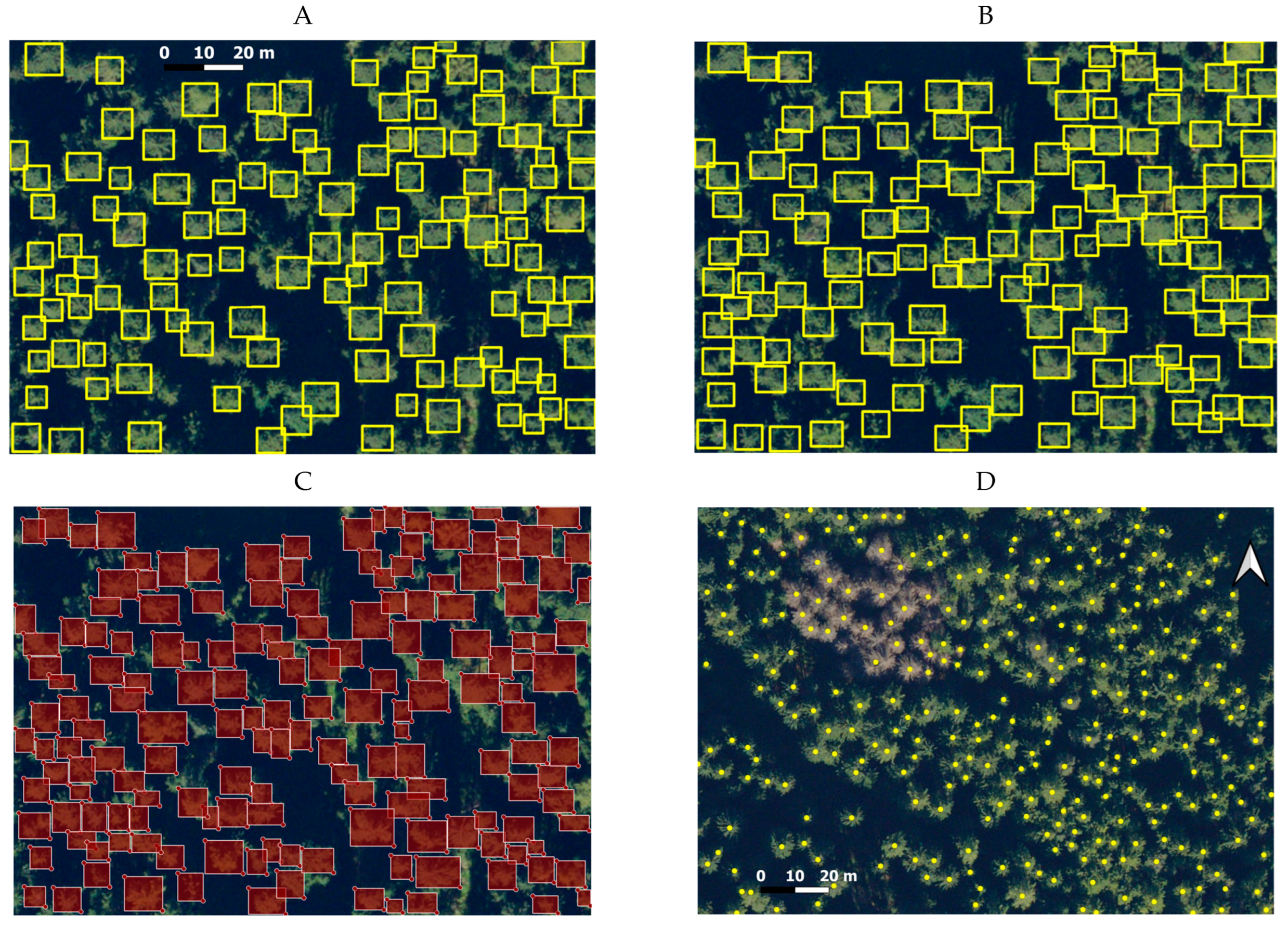 Forests 16 00854 g004