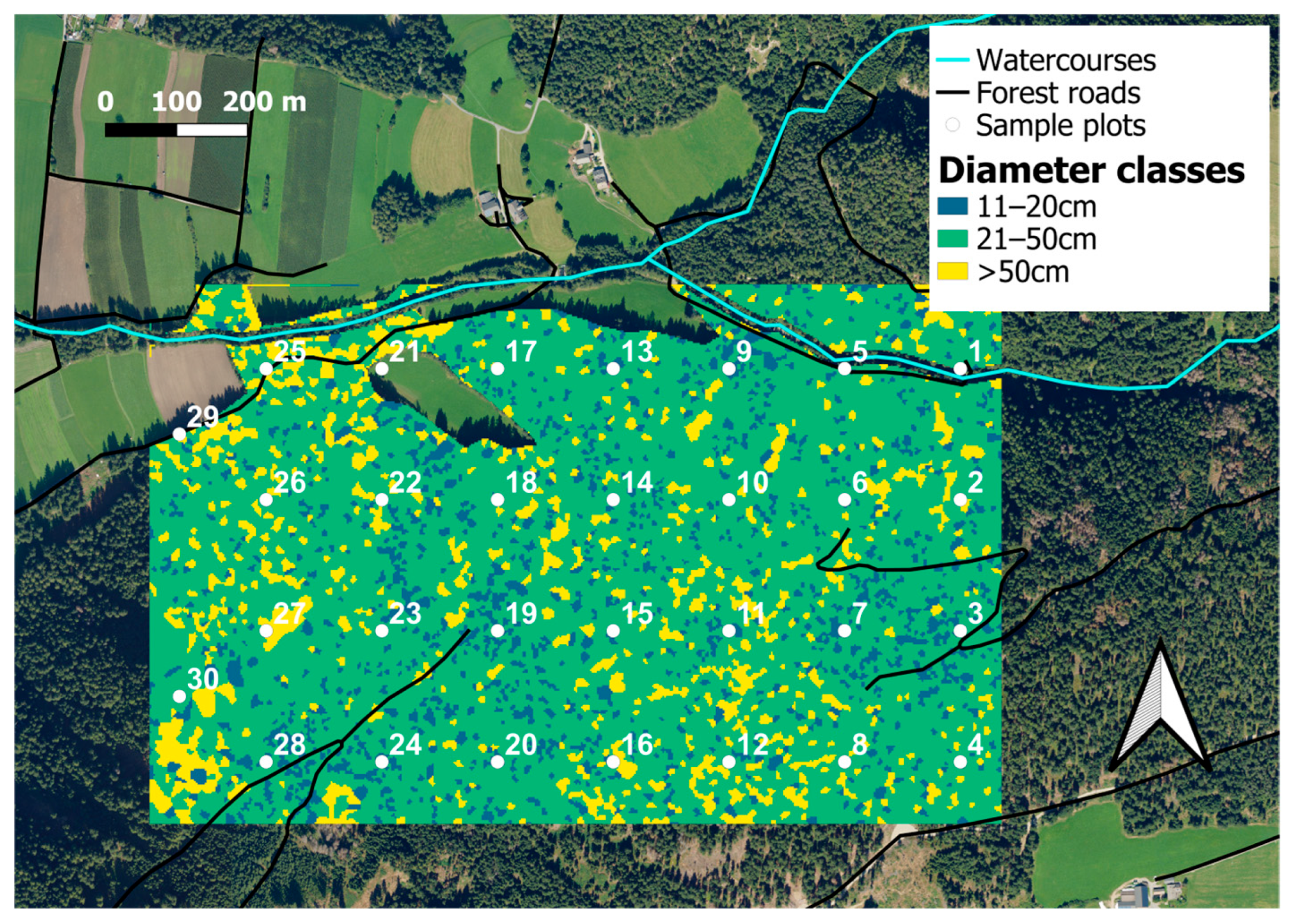 Forests 16 00854 g006