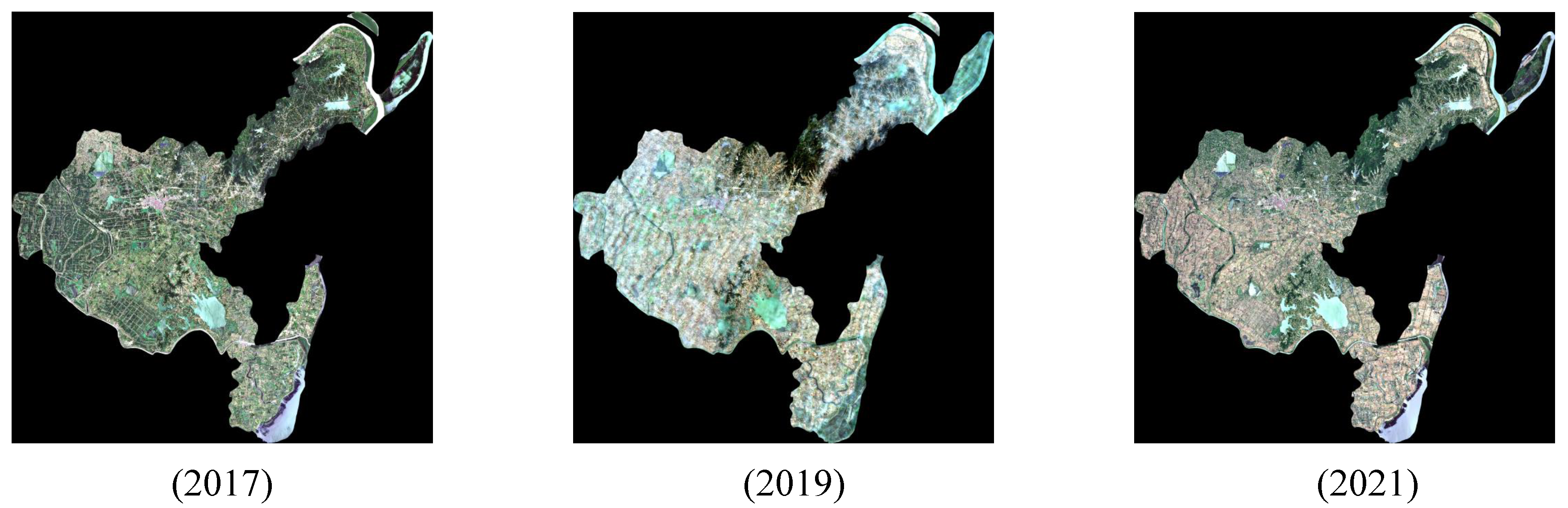 Forests 16 00858 g010