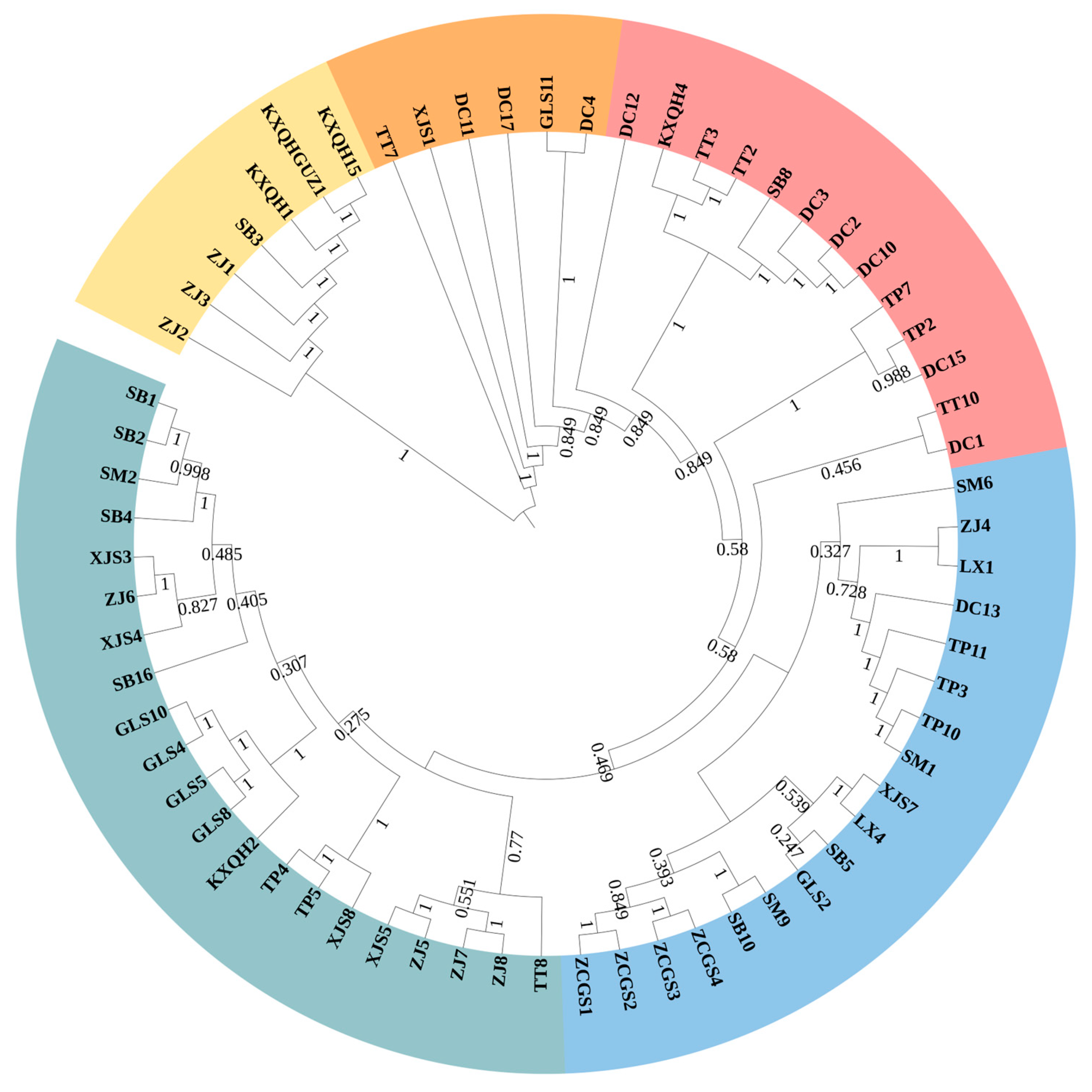 Forests 16 00860 g003