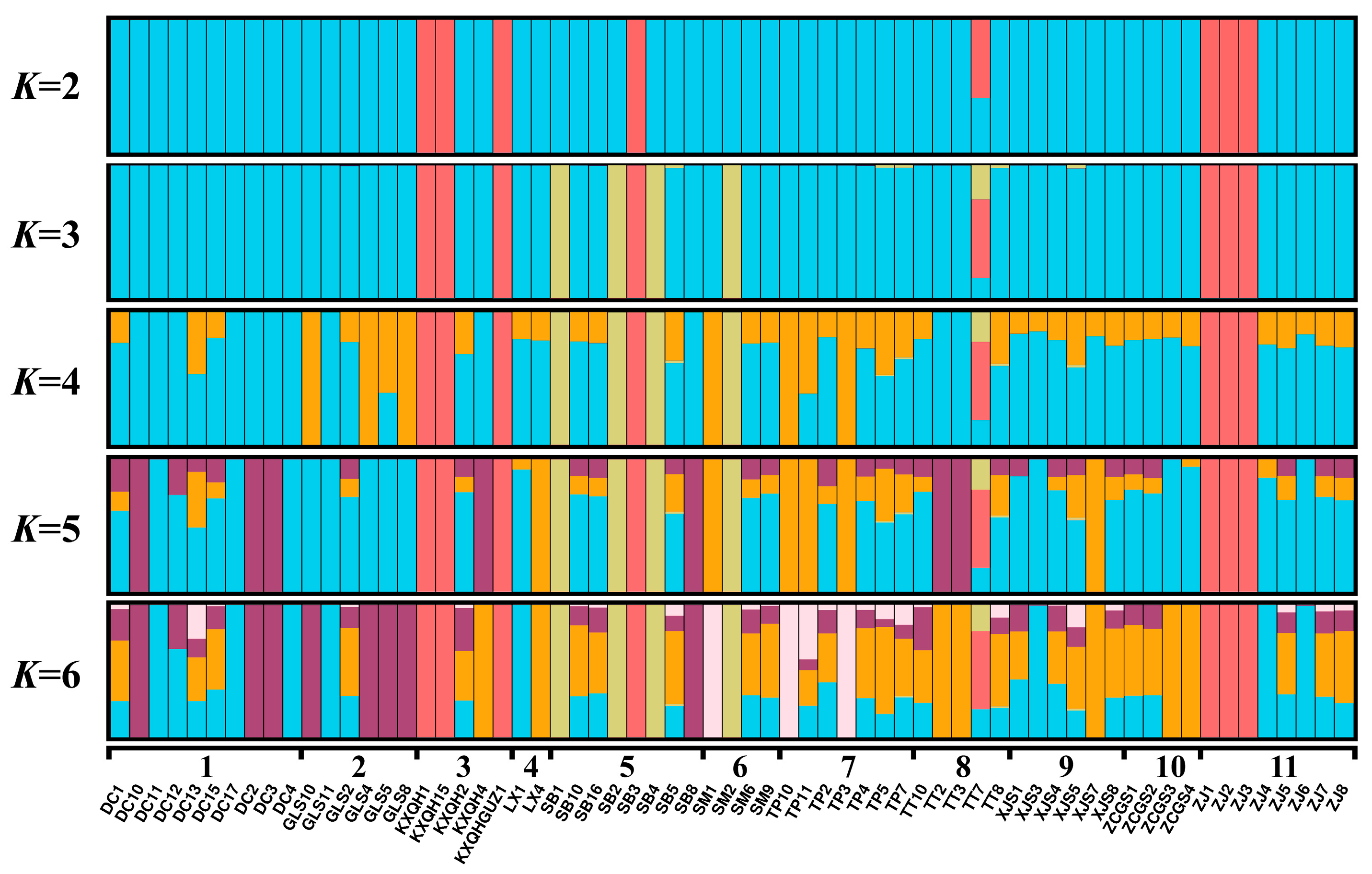 Forests 16 00860 g005