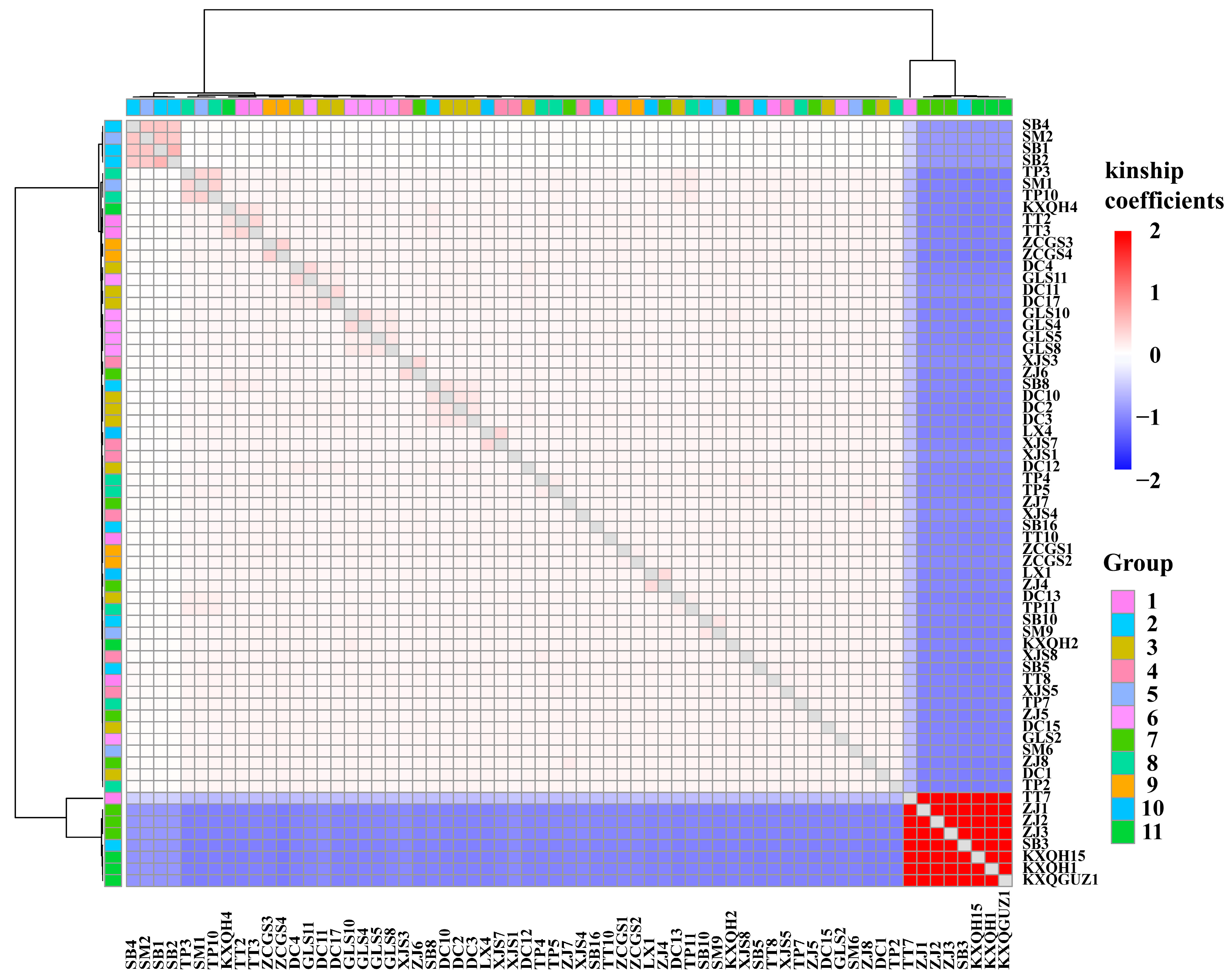 Forests 16 00860 g007