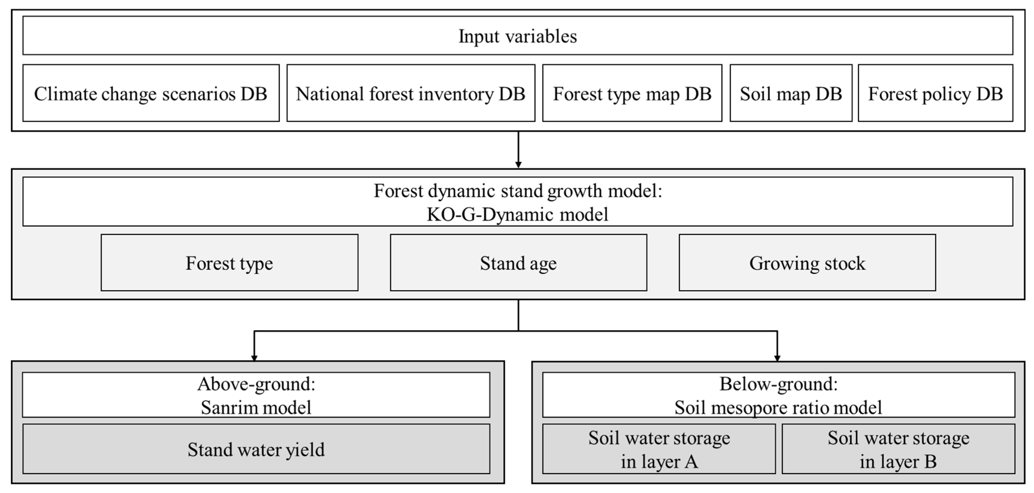 Forests 16 00862 g002