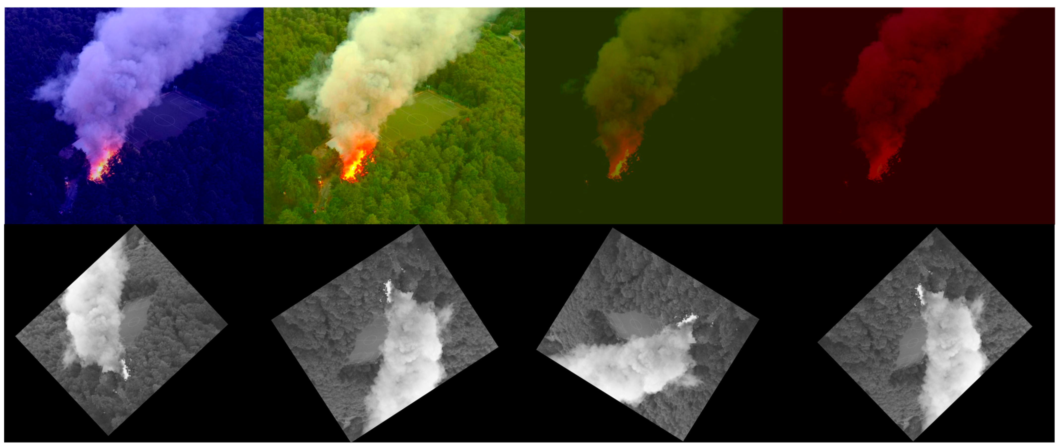 Forests 16 00863 g002