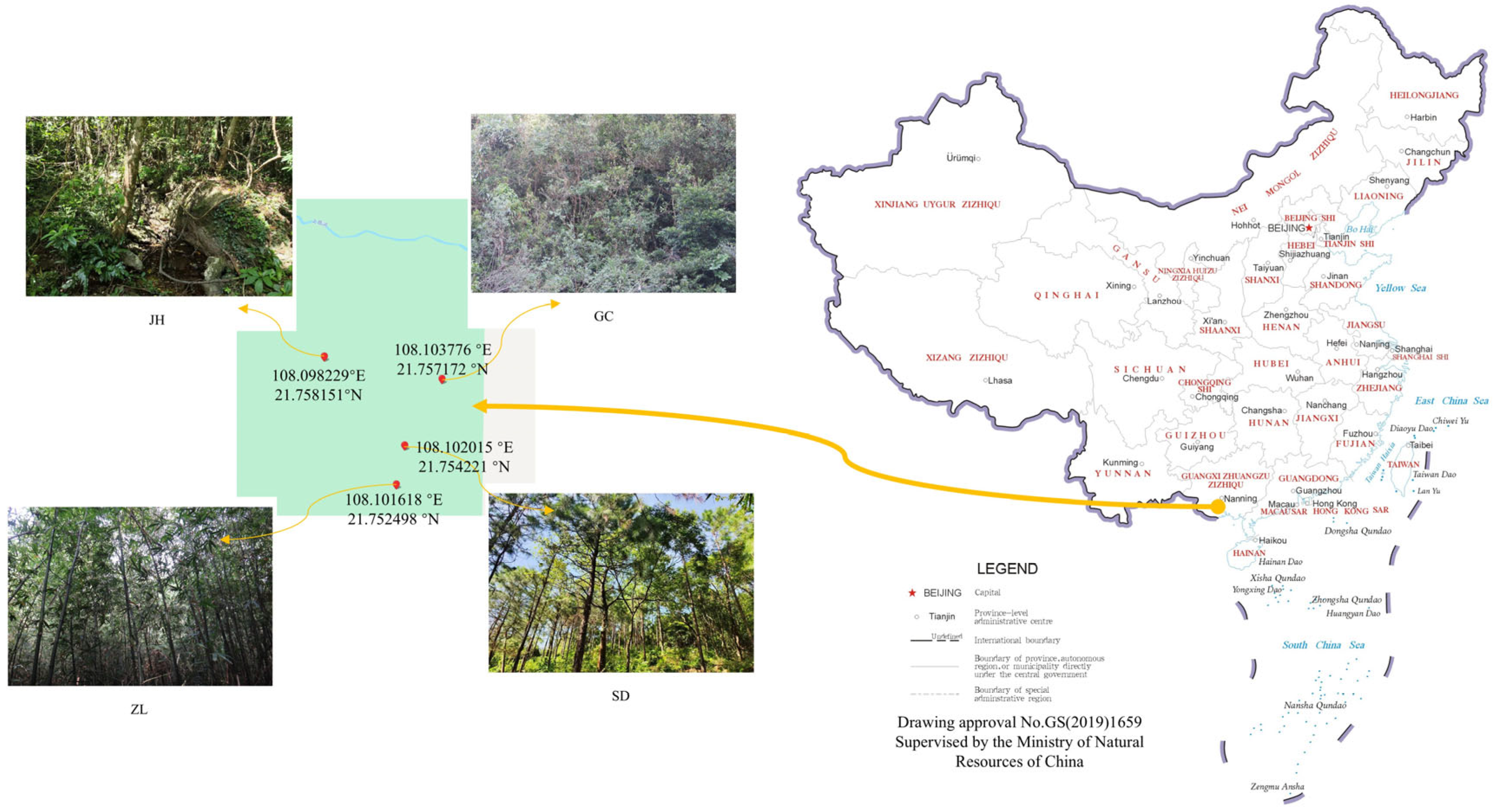 Forests 16 00865 g001