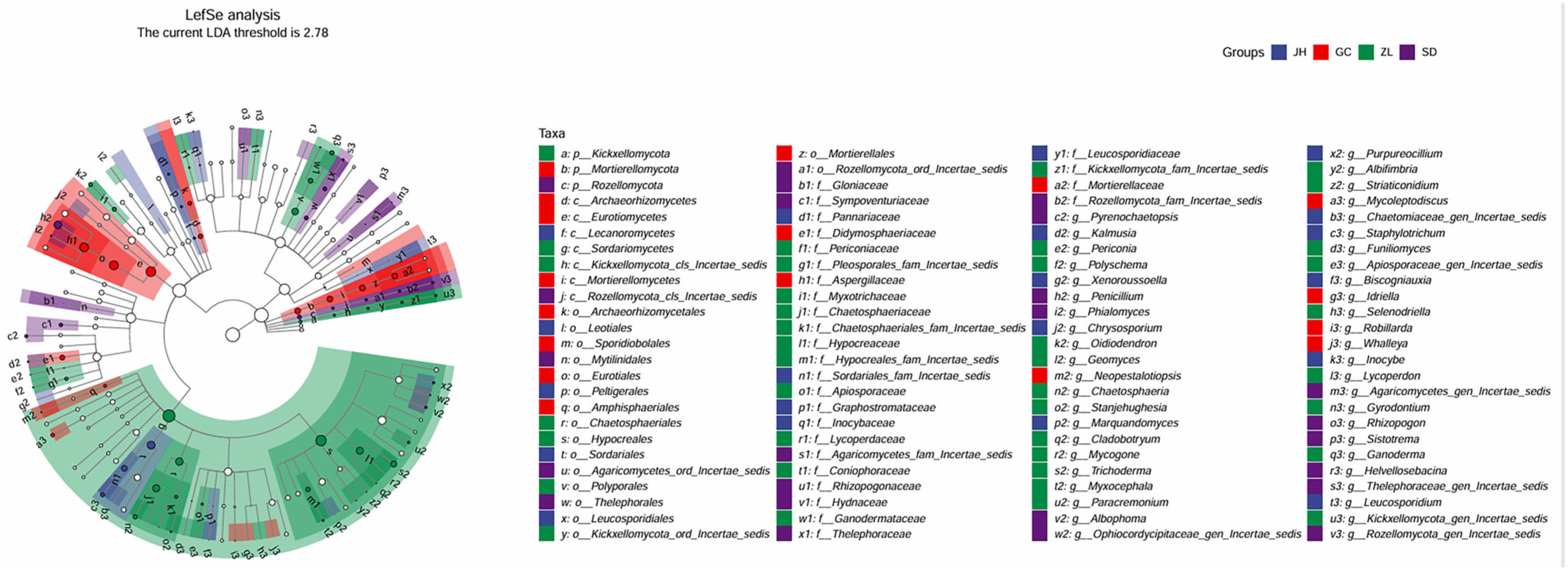 Forests 16 00865 g007