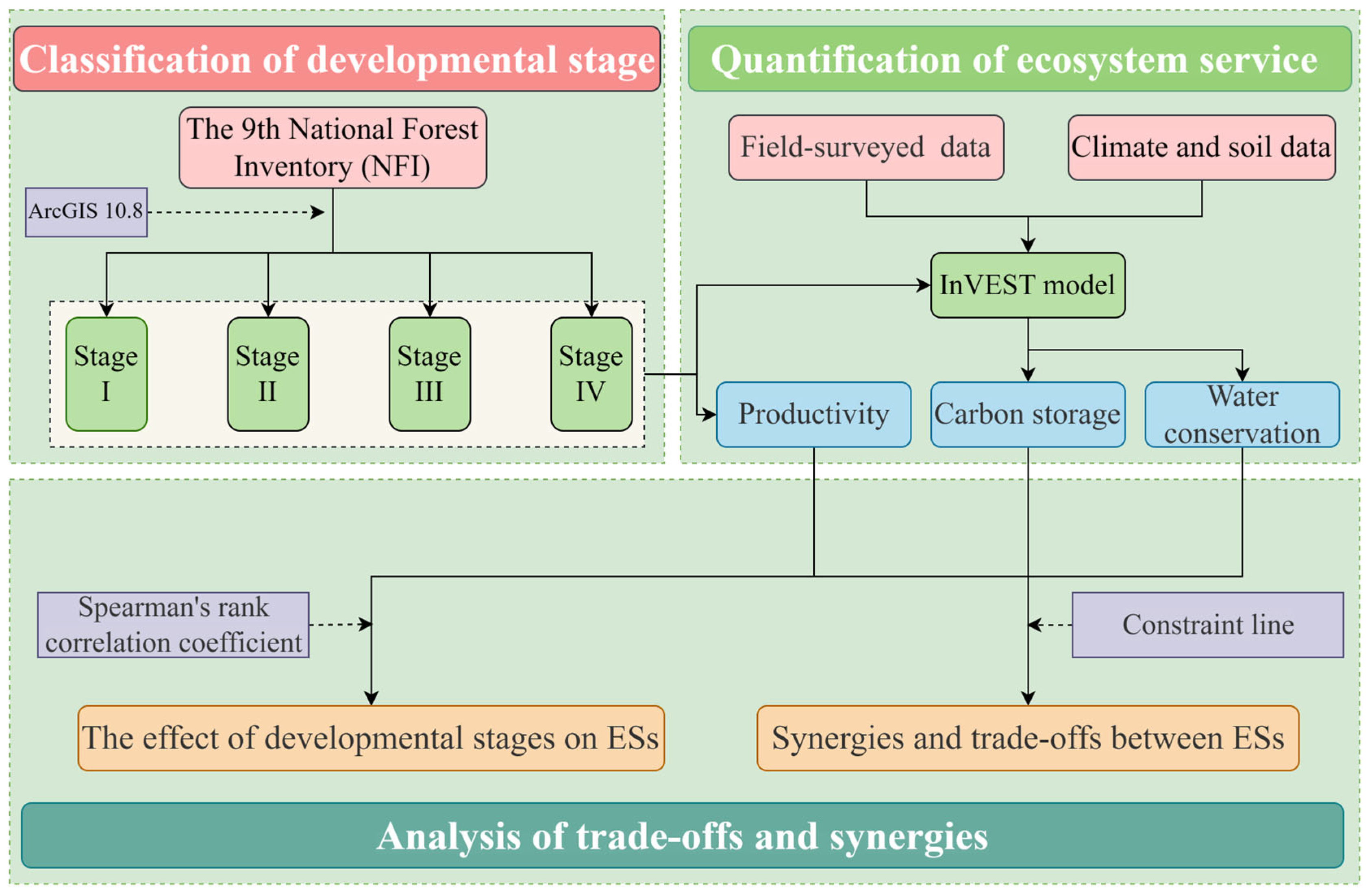 Forests 16 00867 g004