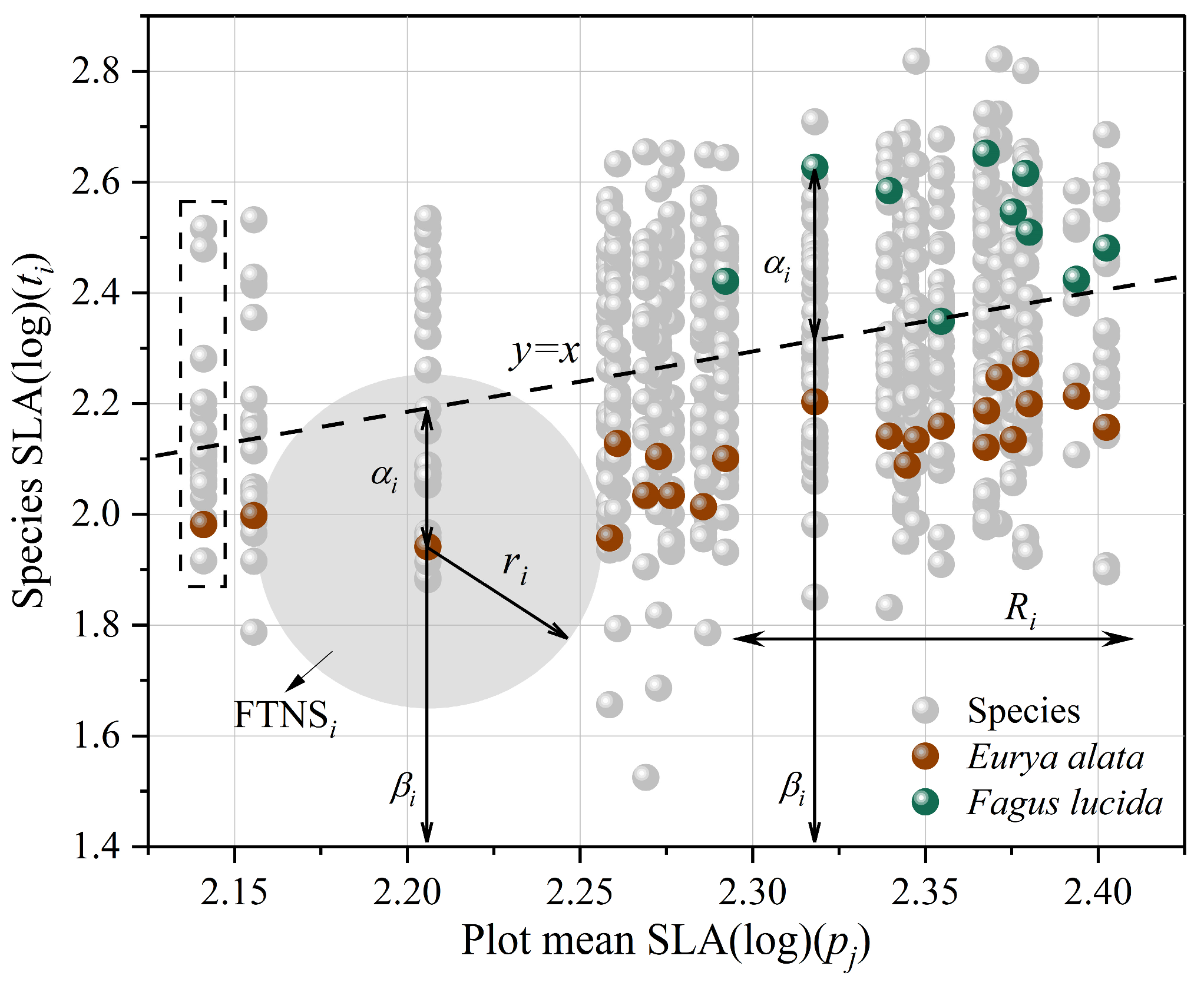 Forests 16 00868 g001