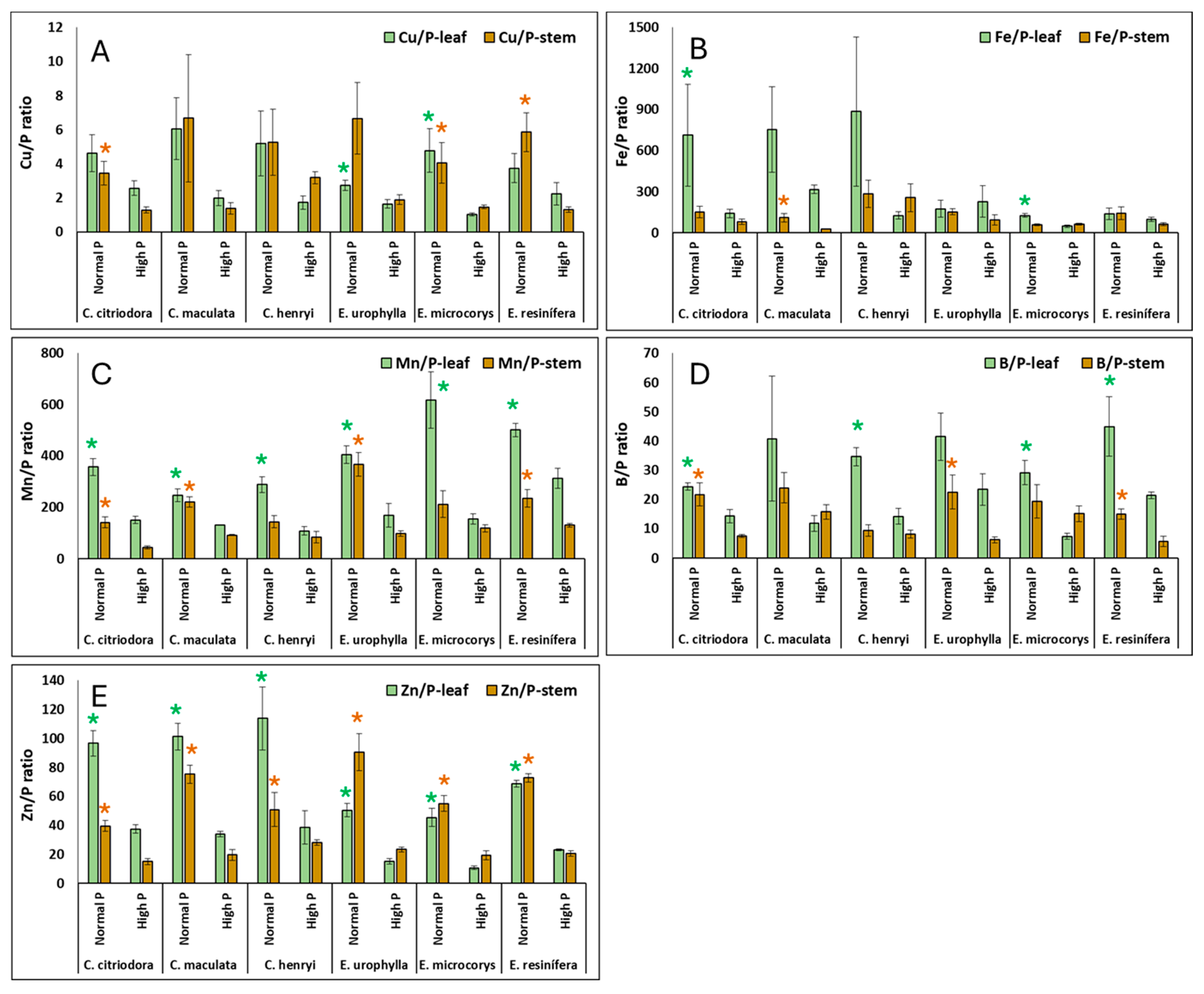Forests 16 00869 g008