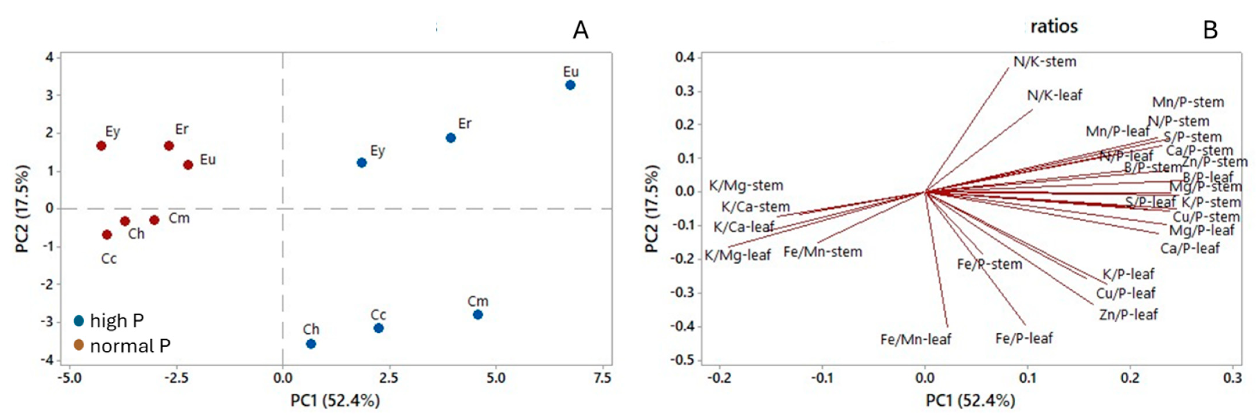 Forests 16 00869 g010