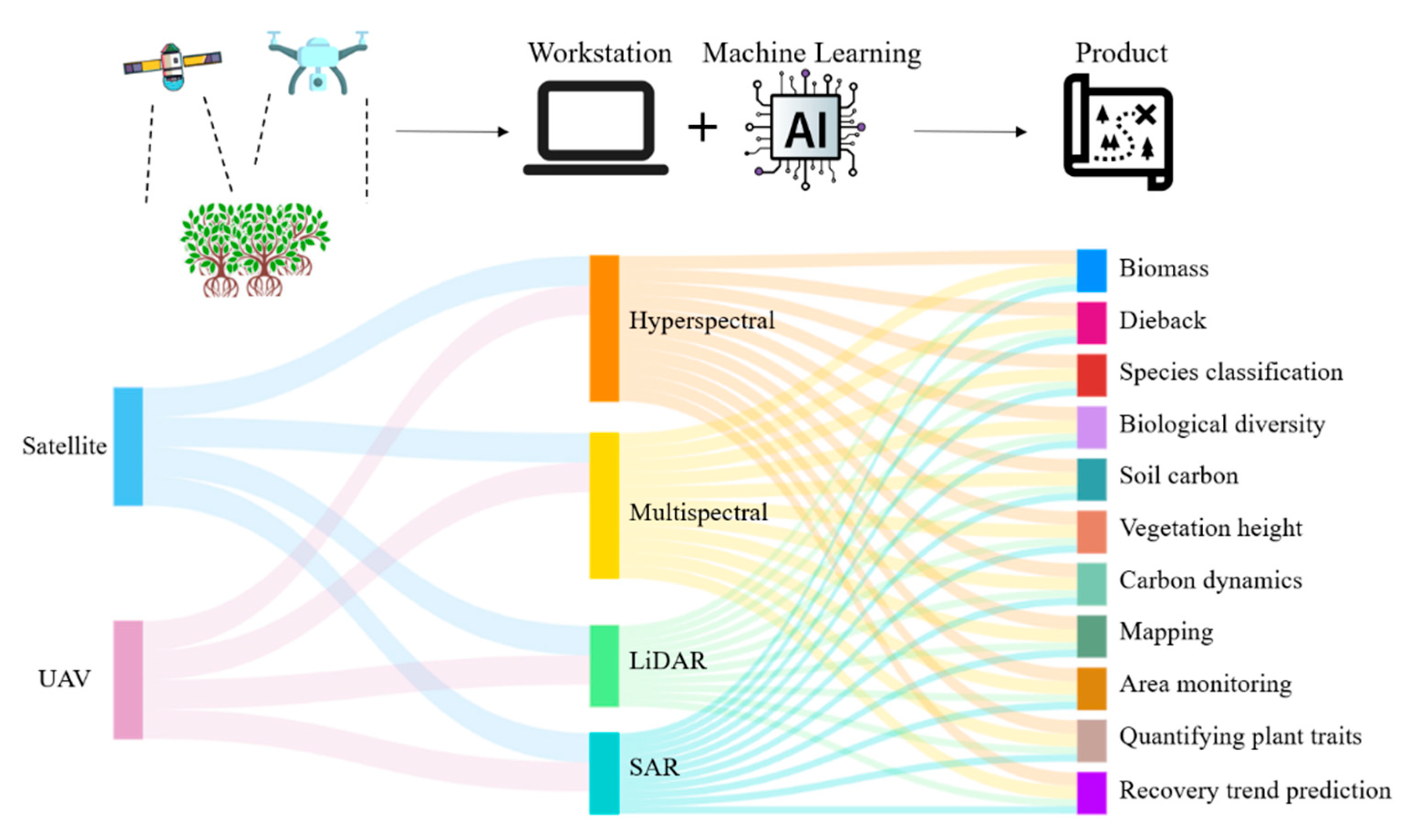 Forests 16 00870 g003