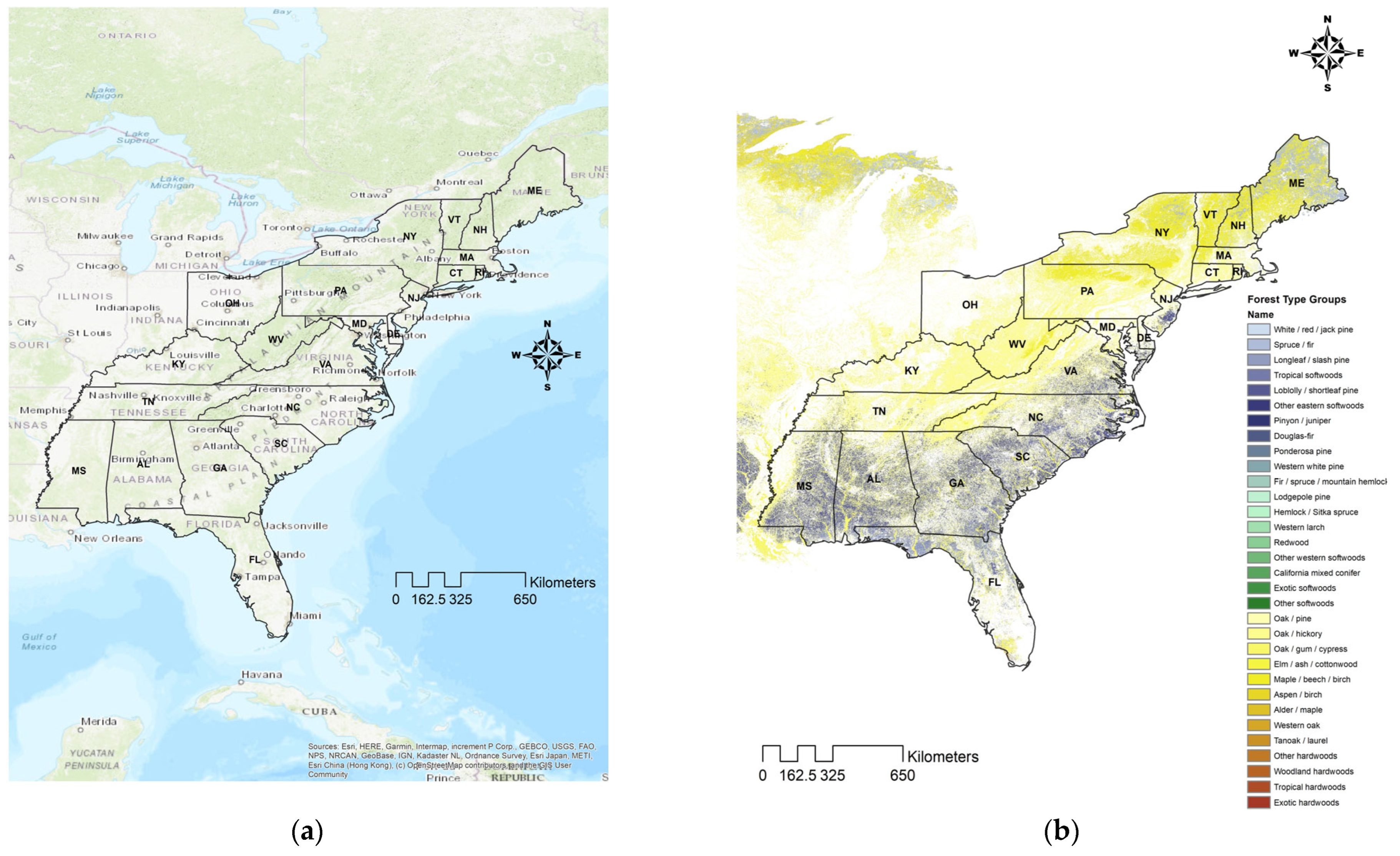 Forests 16 00871 g003