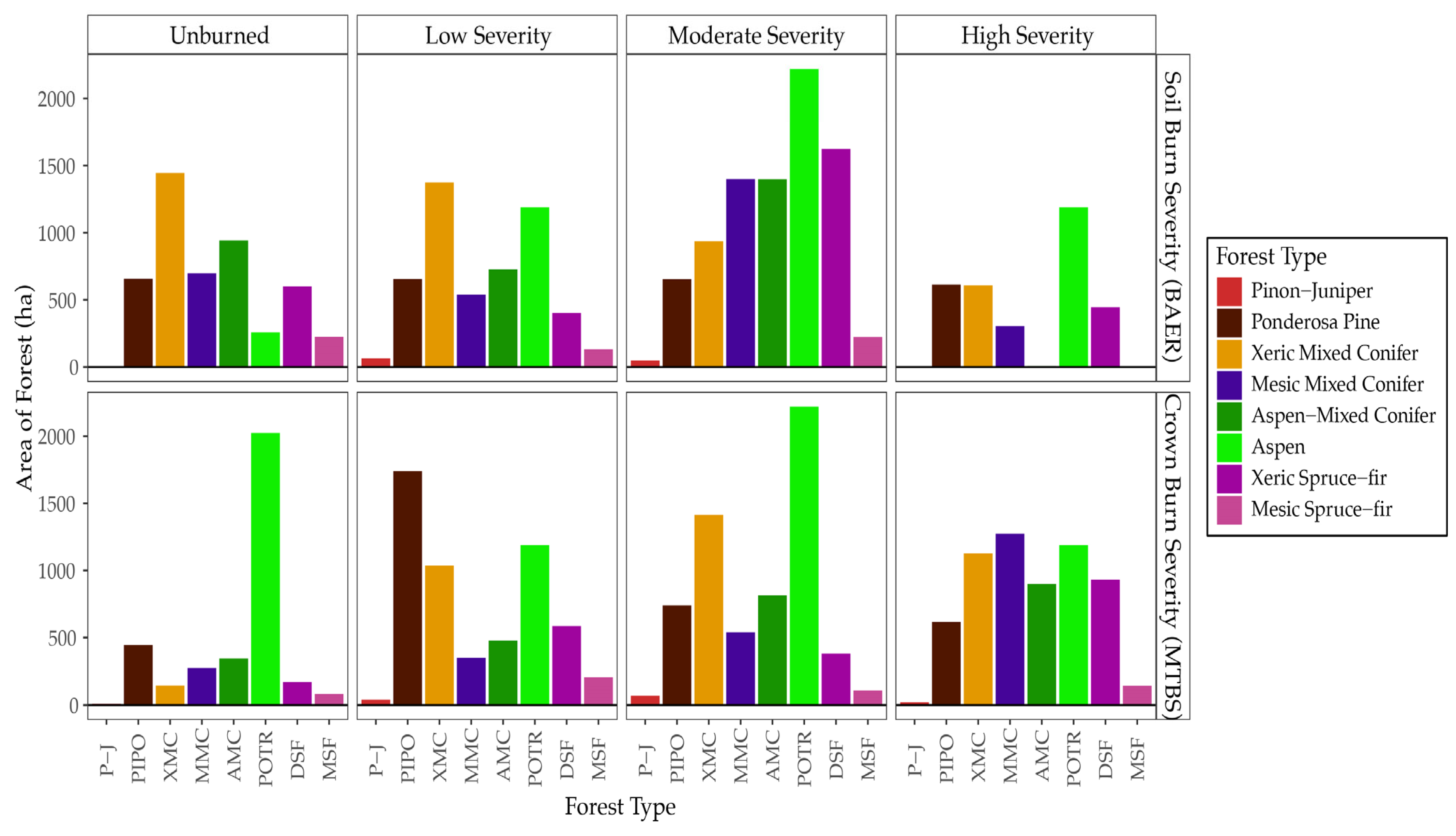 Forests 16 00872 g002