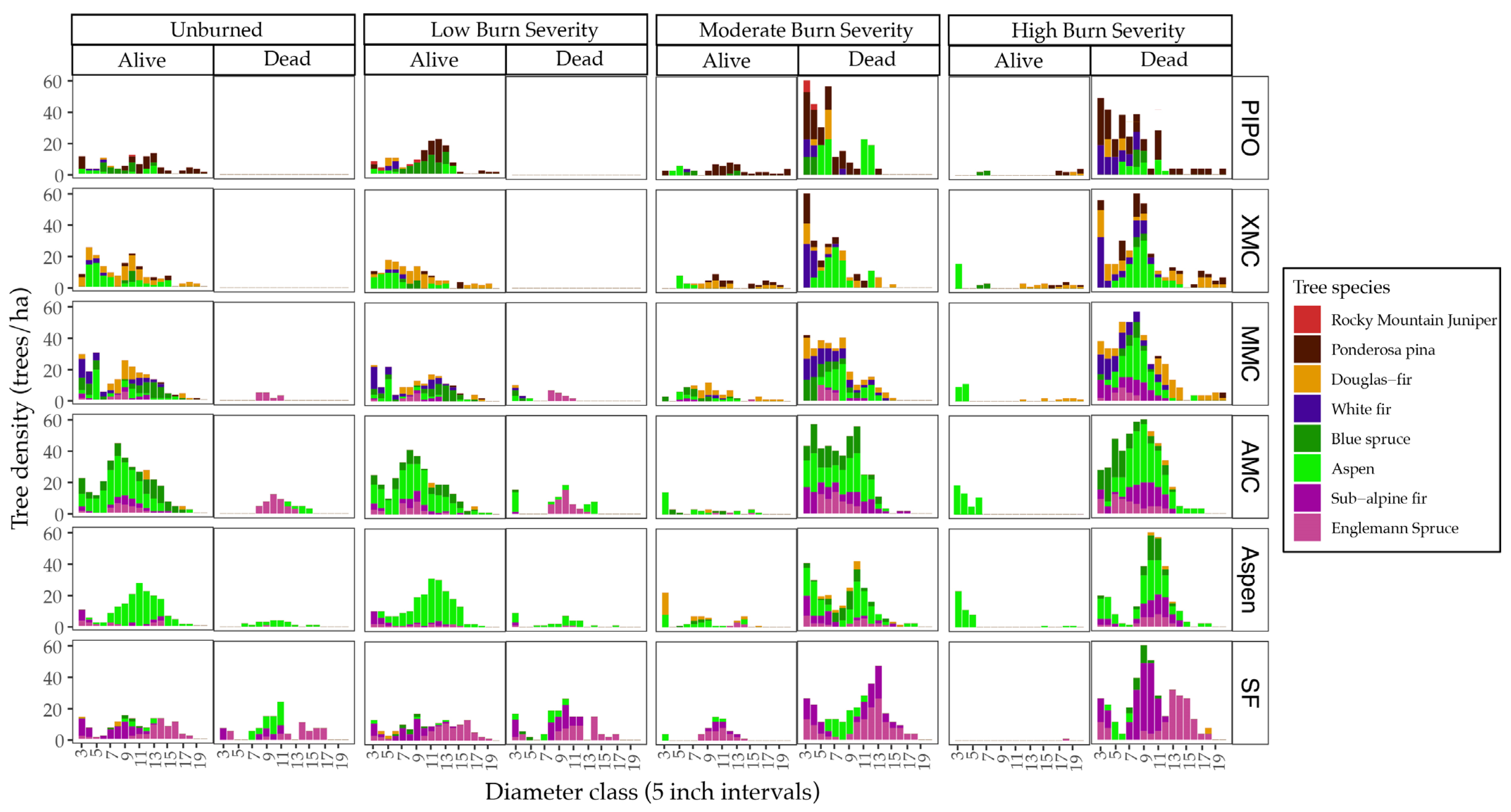 Forests 16 00872 g005