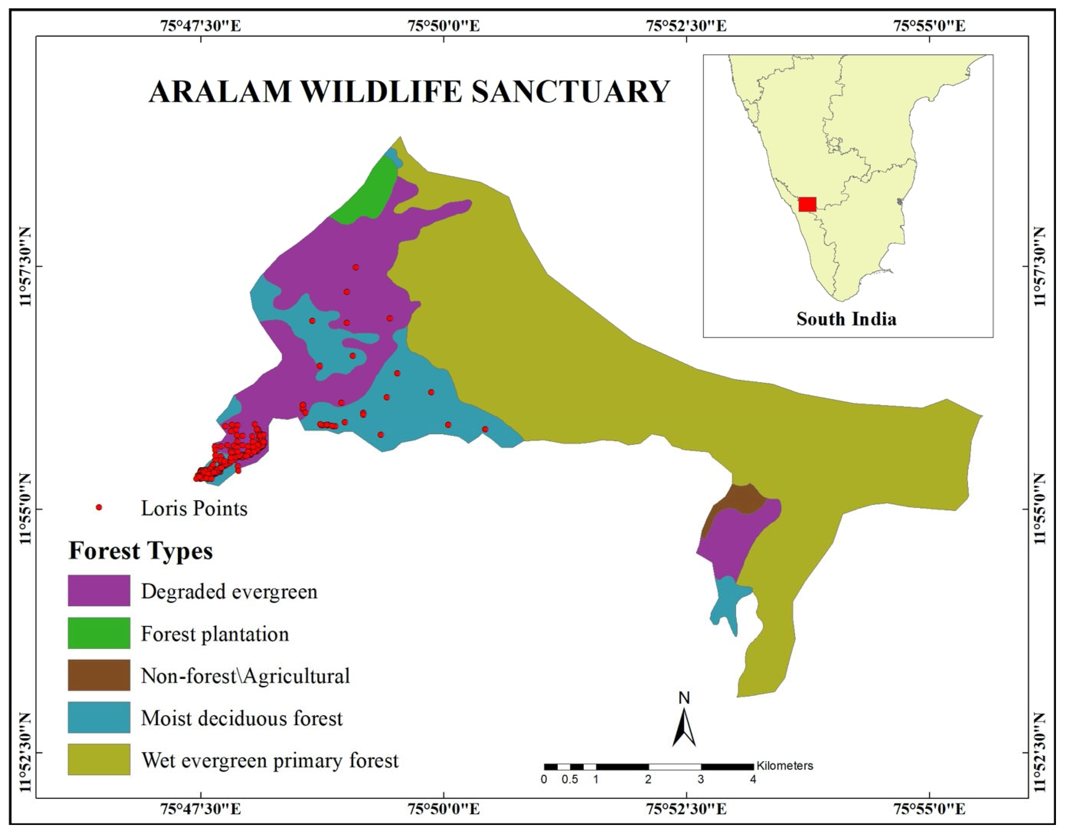 Forests 16 00876 g001