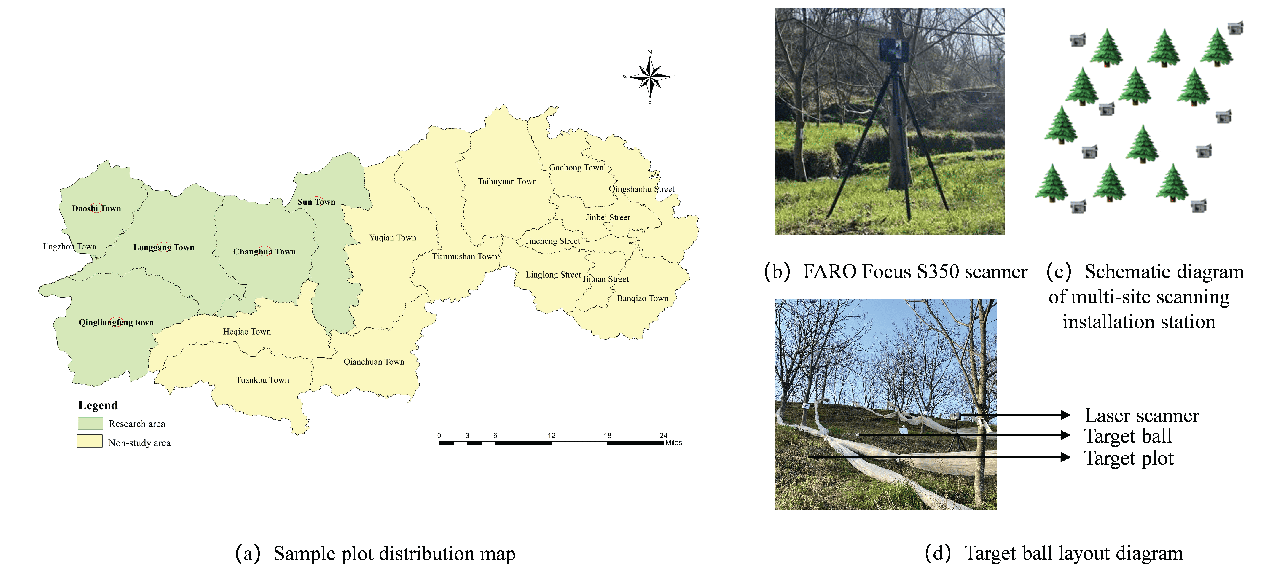 Forests 16 00878 g002