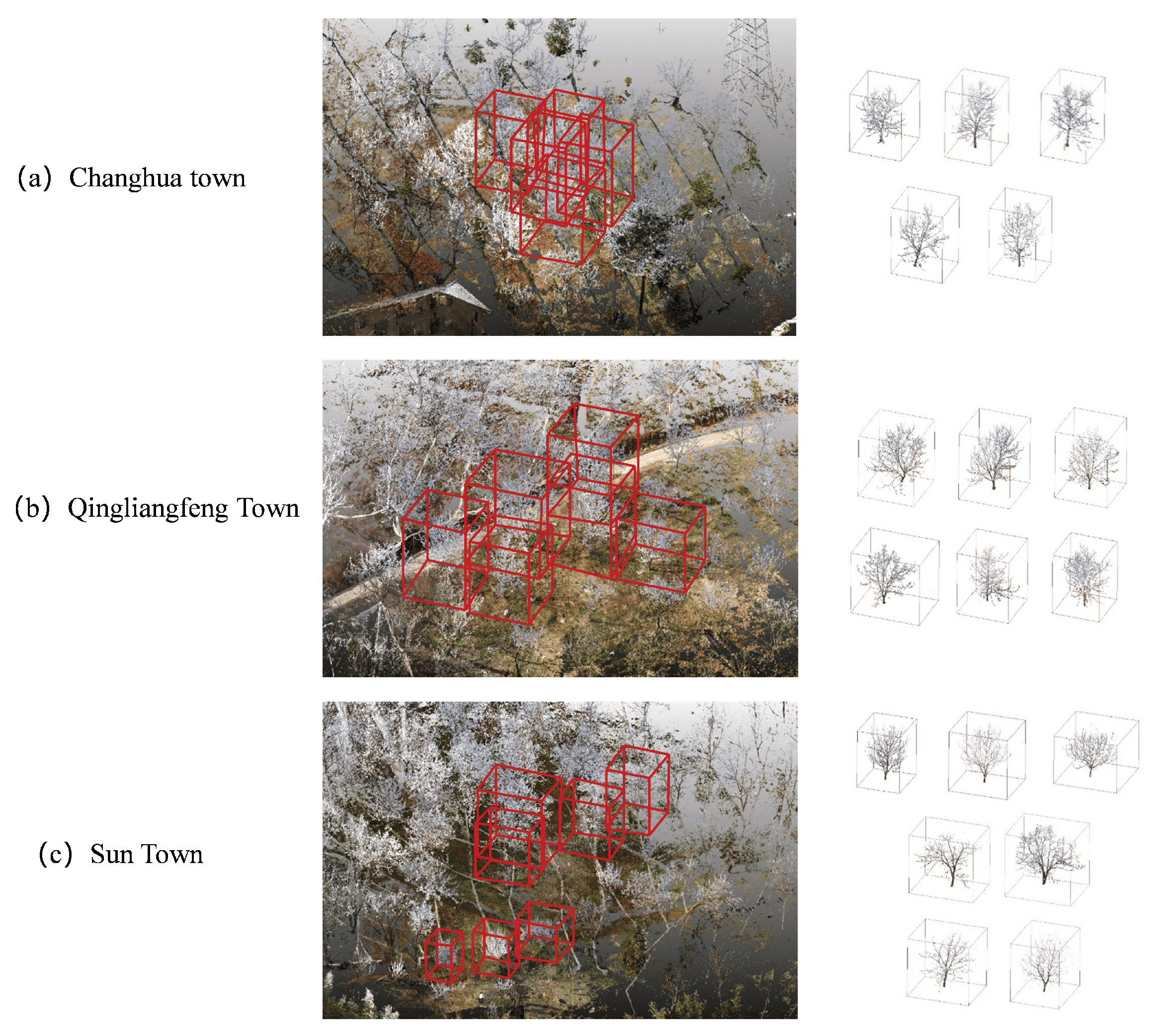 Forests 16 00878 g003