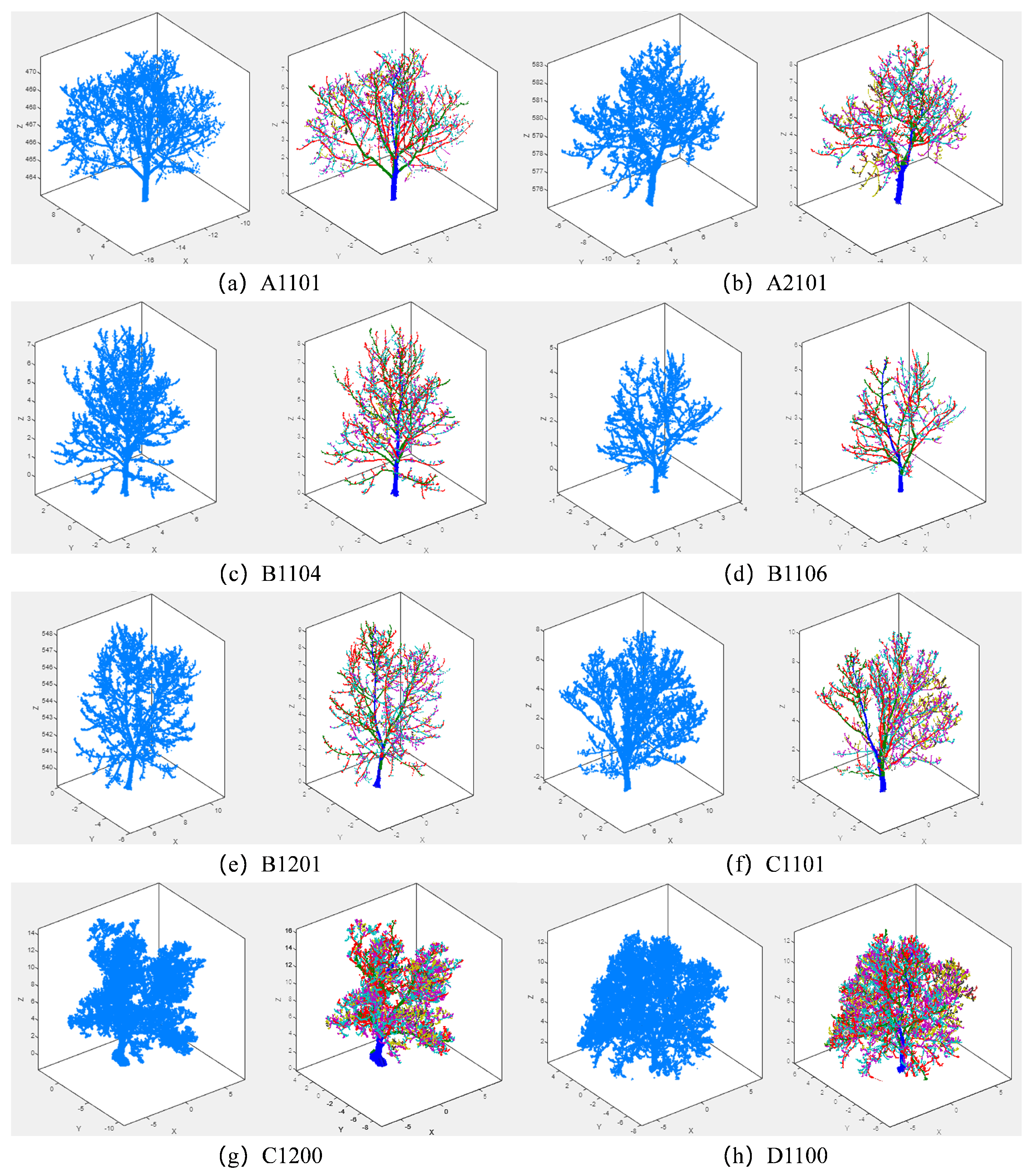 Forests 16 00878 g004