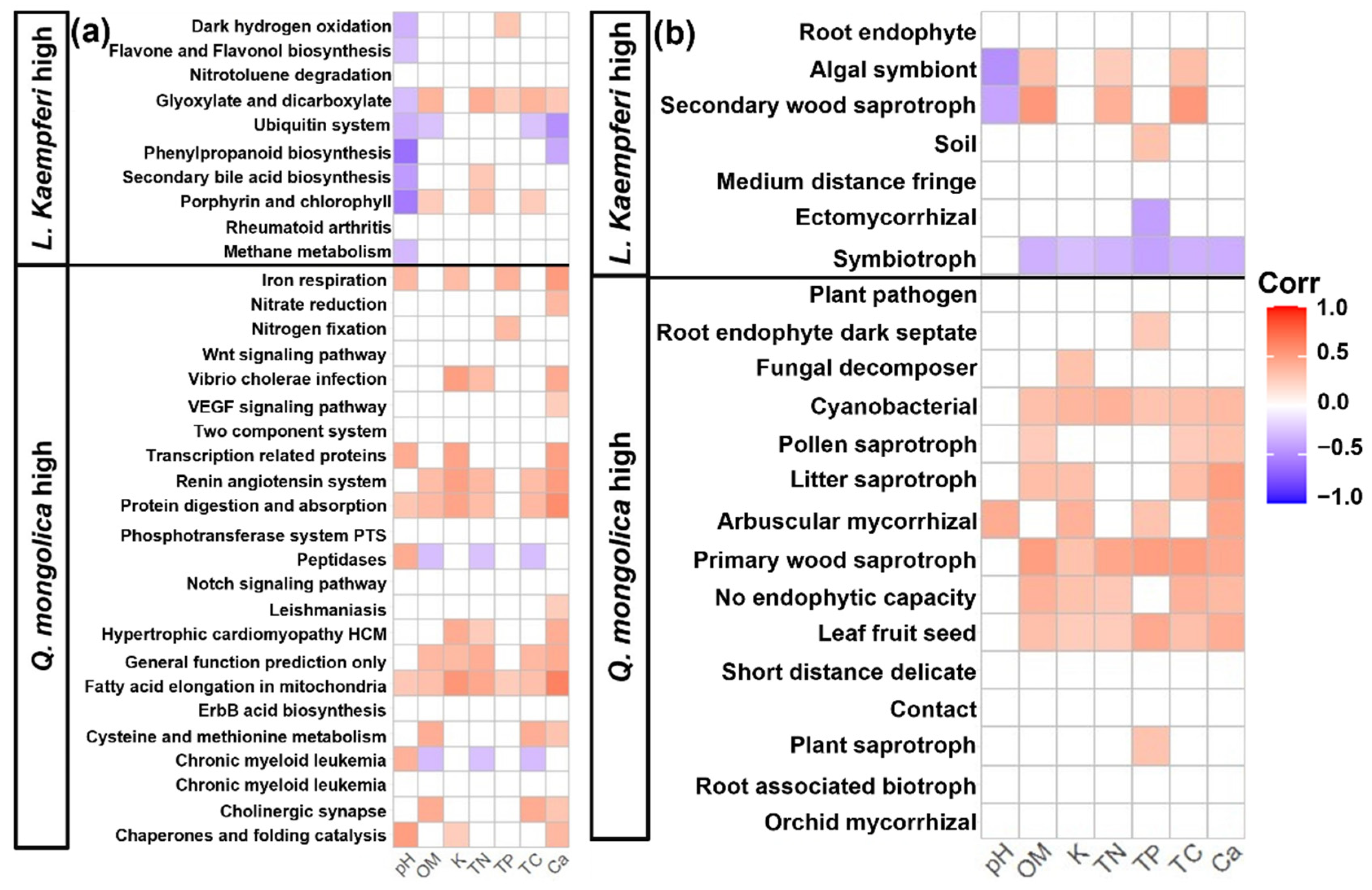 Forests 16 00883 g006