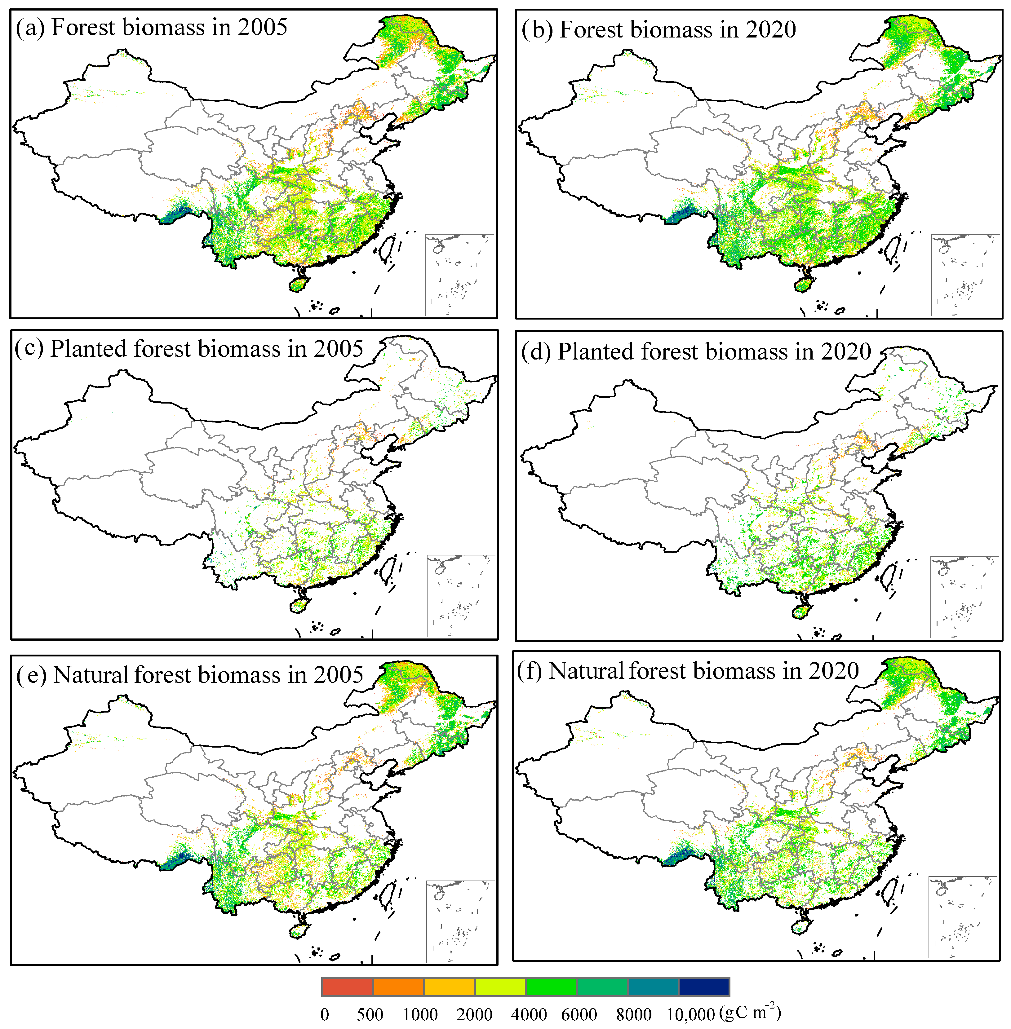 Forests 16 00884 g004